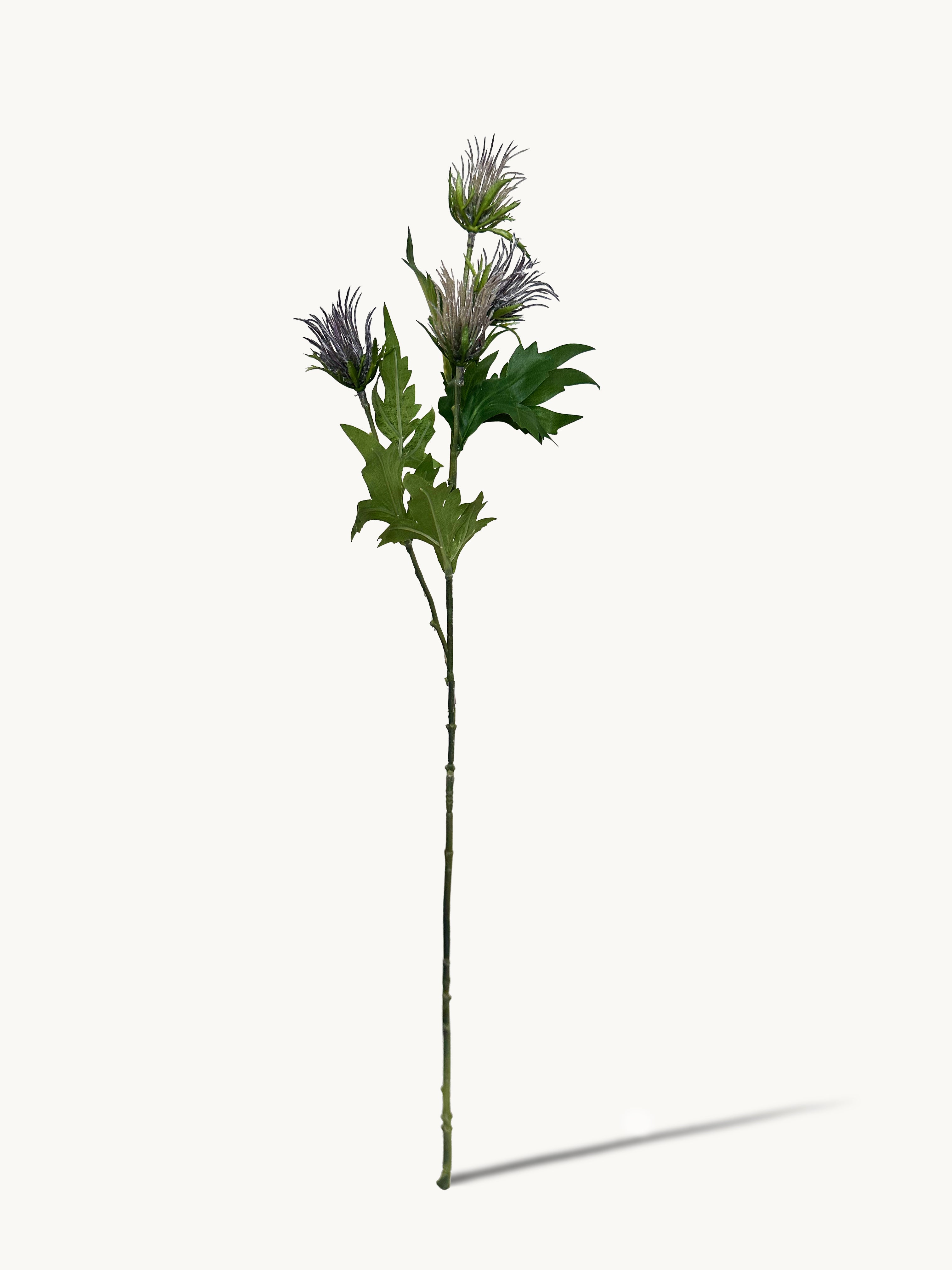 Cloud - patterned Atractylodes Fruit (Light Purple)