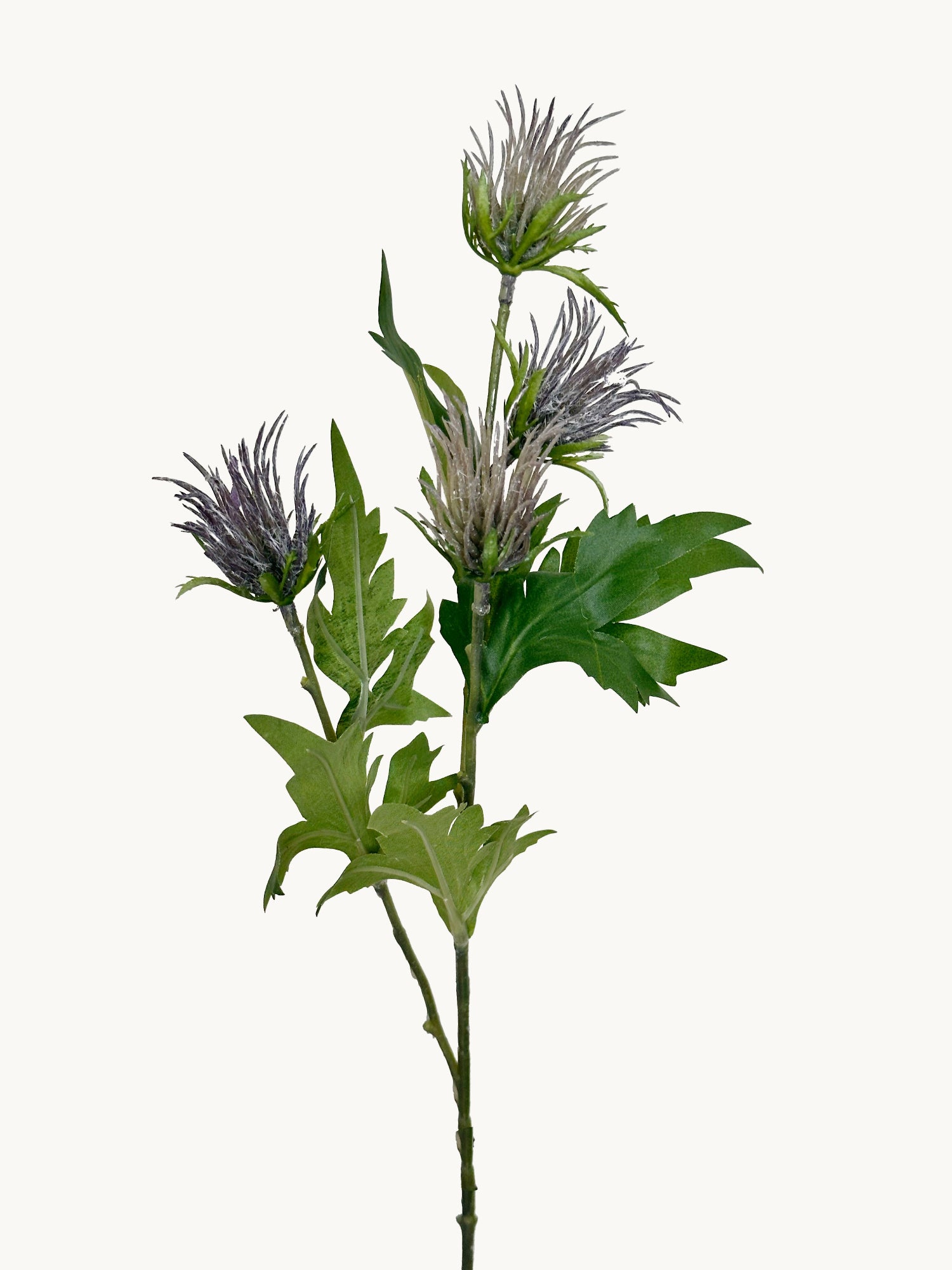 Amaranton™ 27" Realistica™ 4 - Headed Atractylodes Fruits - Purple