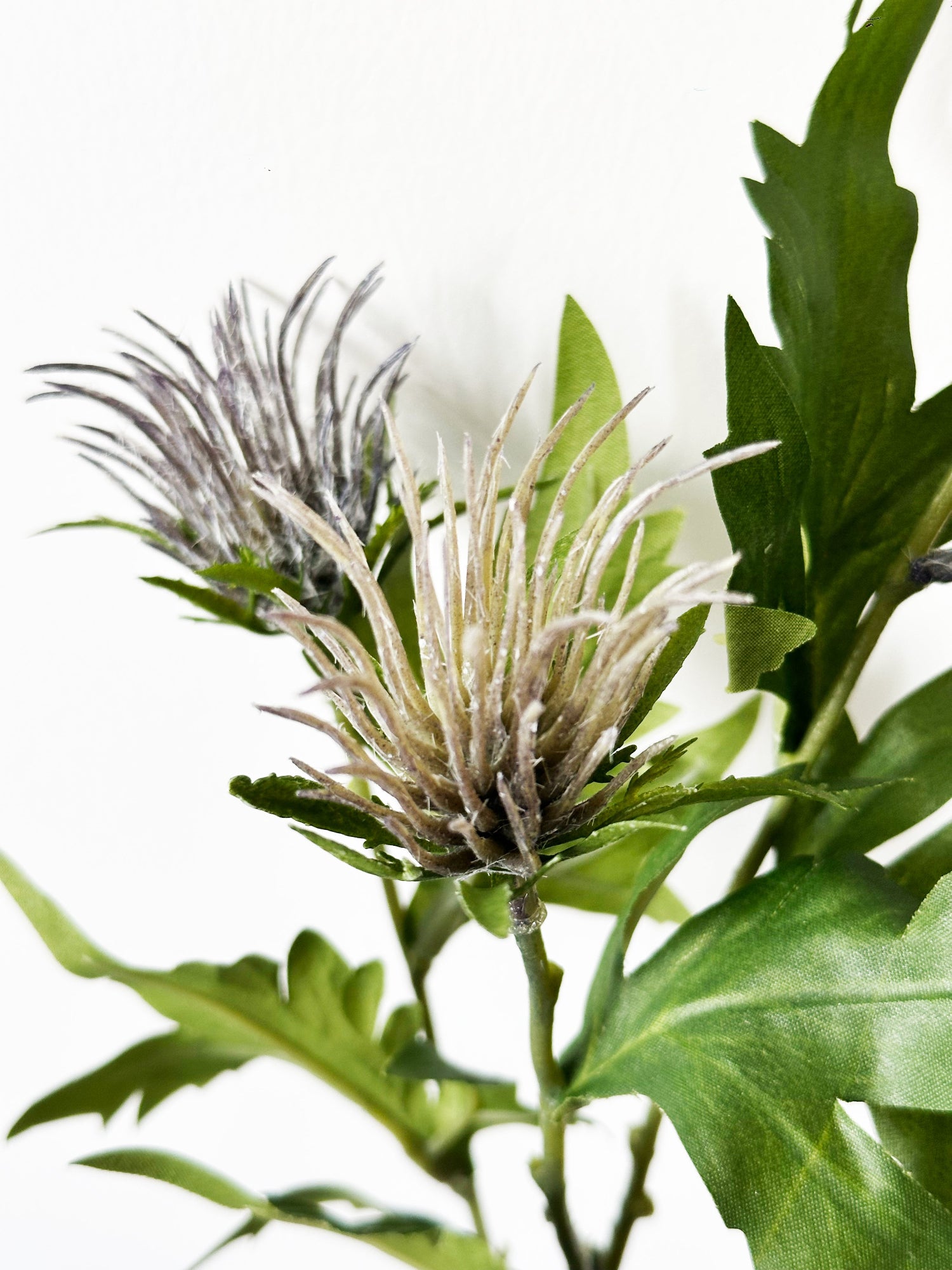 Amaranton™ 27" Realistica™ 4 - Headed Atractylodes Fruits - Purple