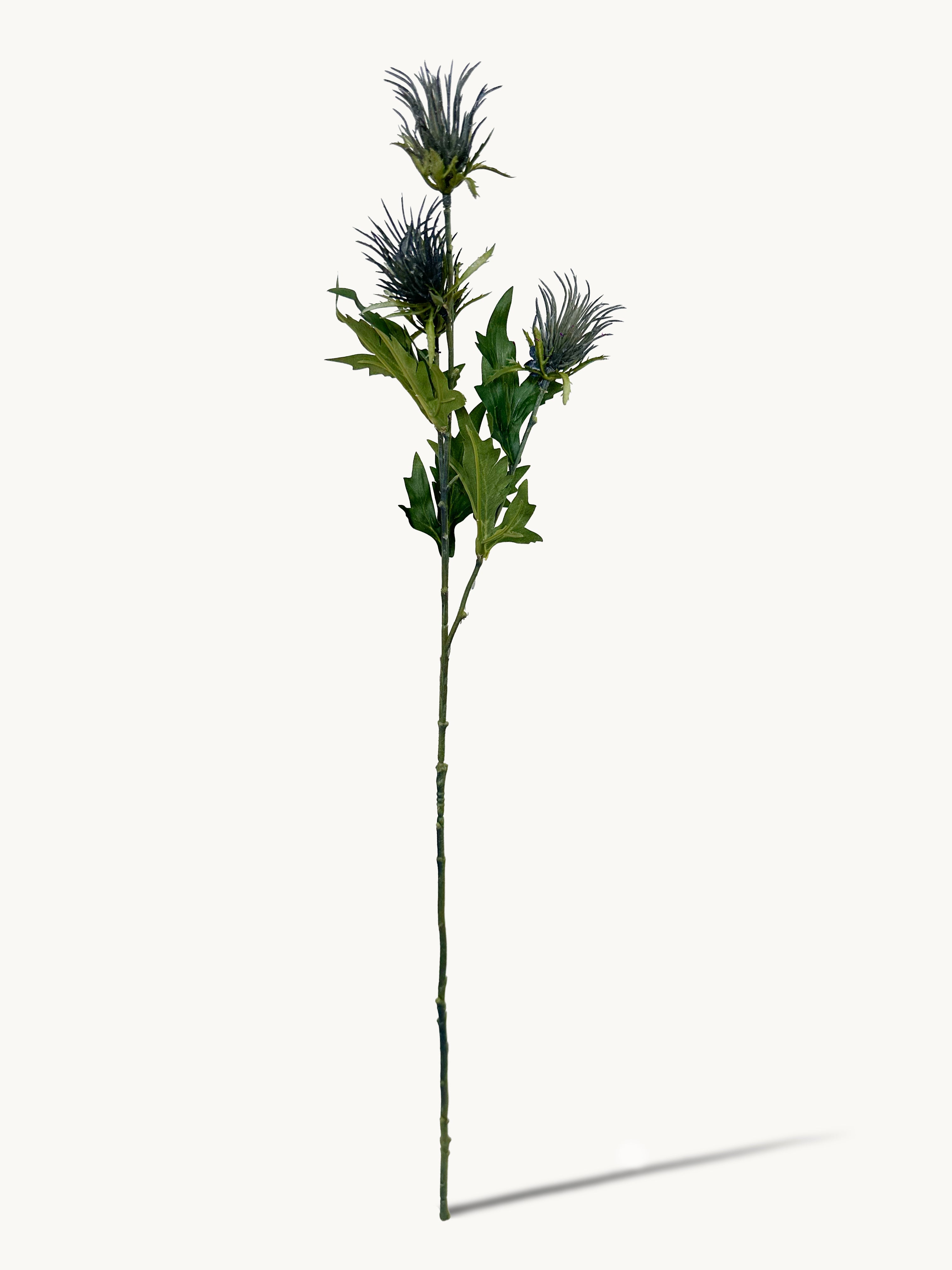 Cloud - patterned Atractylodes Fruit (Blue)