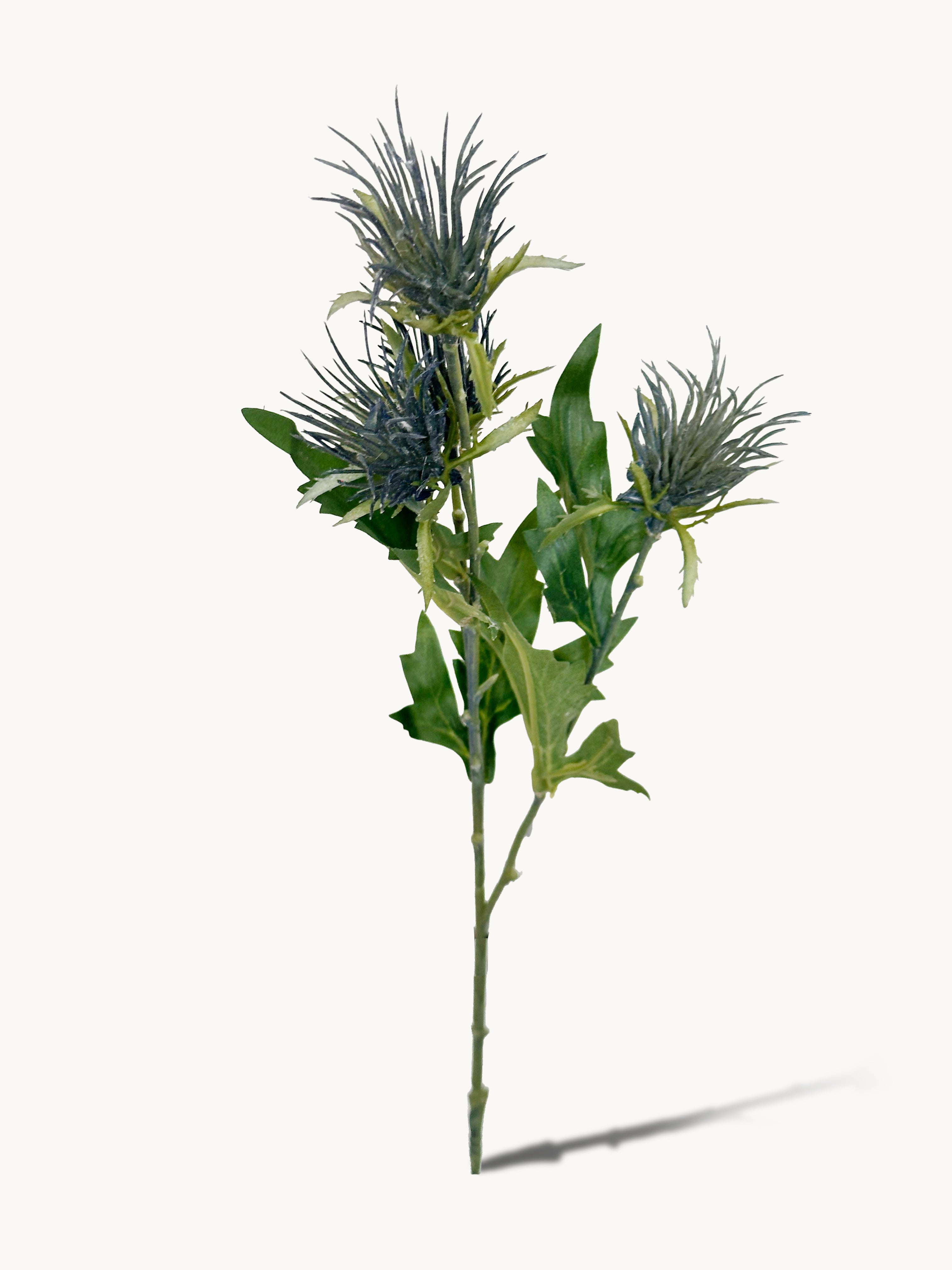 Cloud - patterned Atractylodes Fruit (Blue)