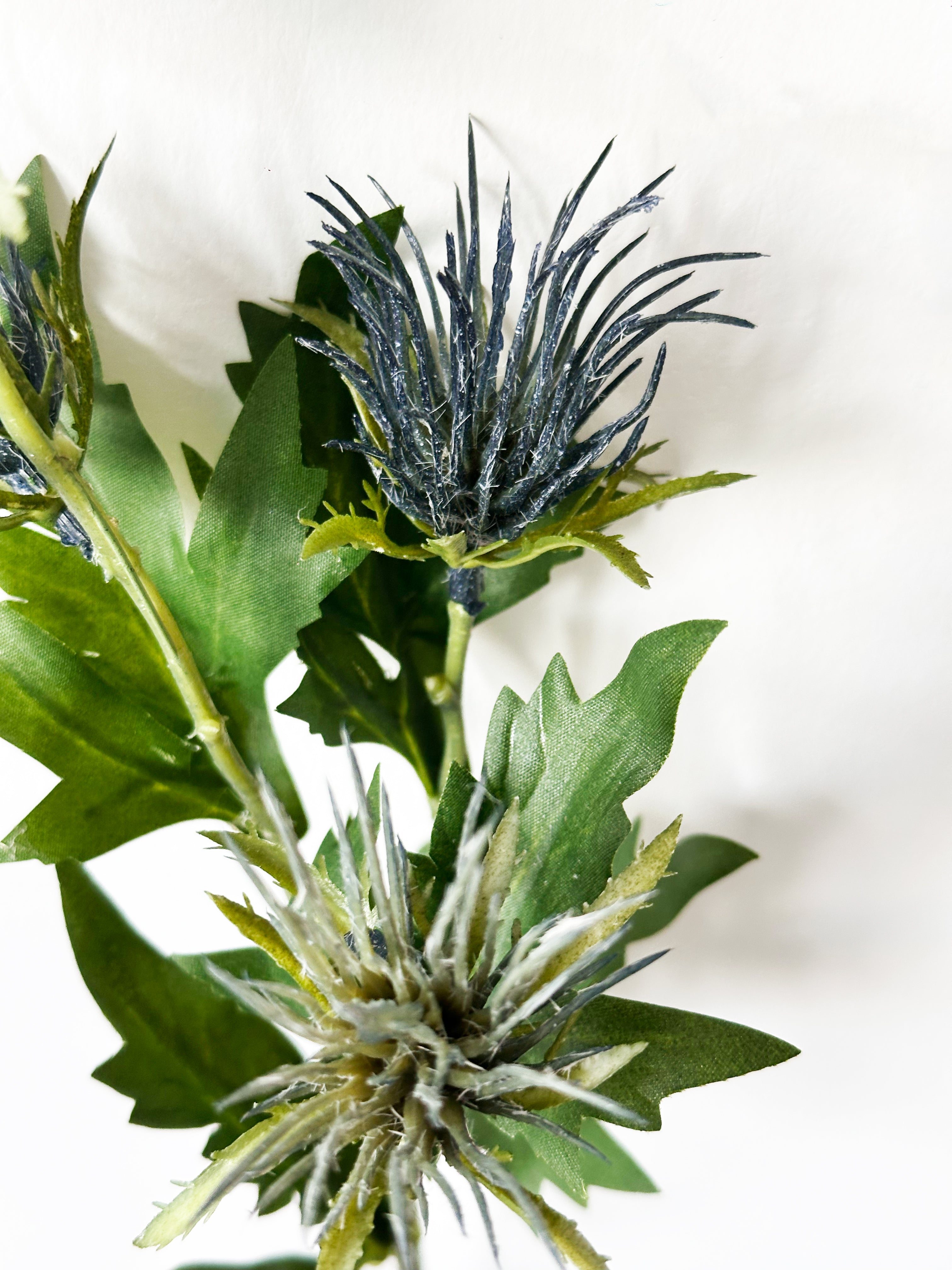 Cloud - patterned Atractylodes Fruit (Blue)