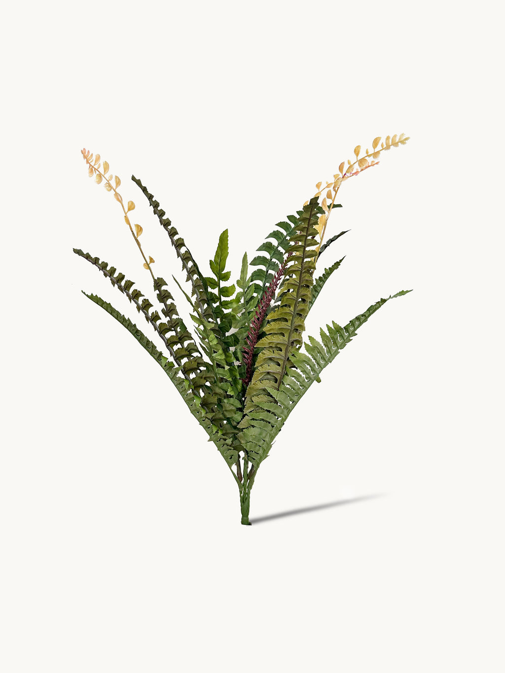 18-leaflet Small Boston Fern Fronds
