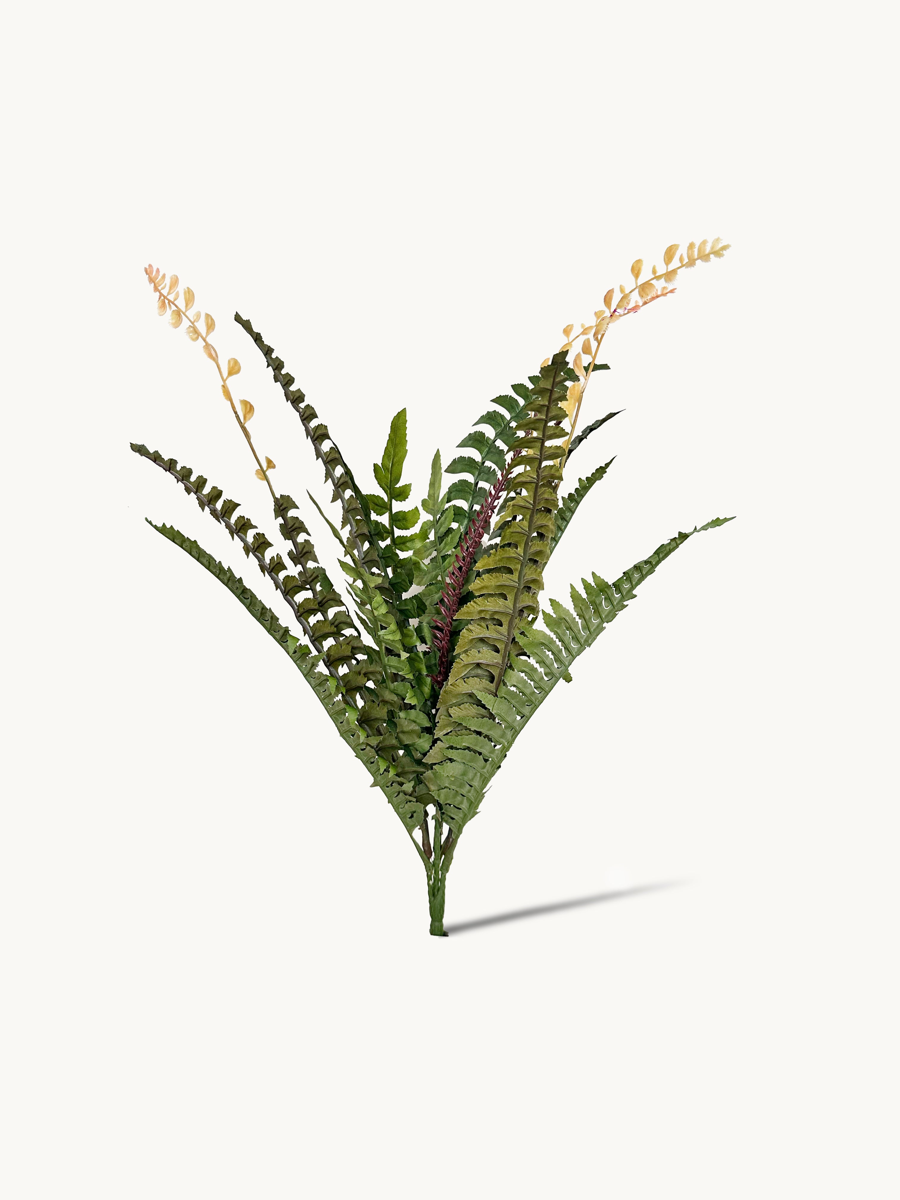18-leaflet Small Boston Fern Fronds