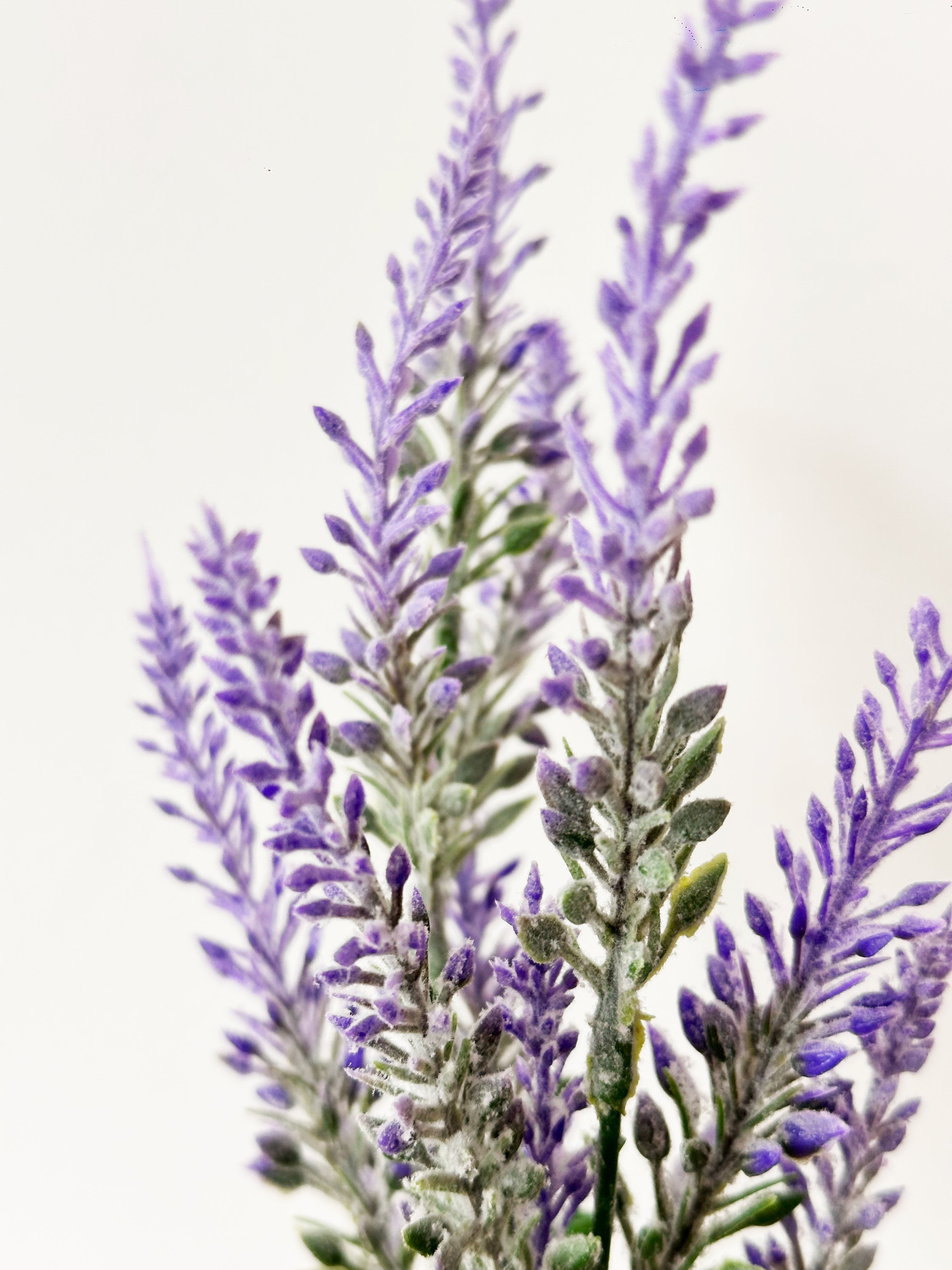 Amaranton 14" Artificial 5 - Branch Lavender - Purple