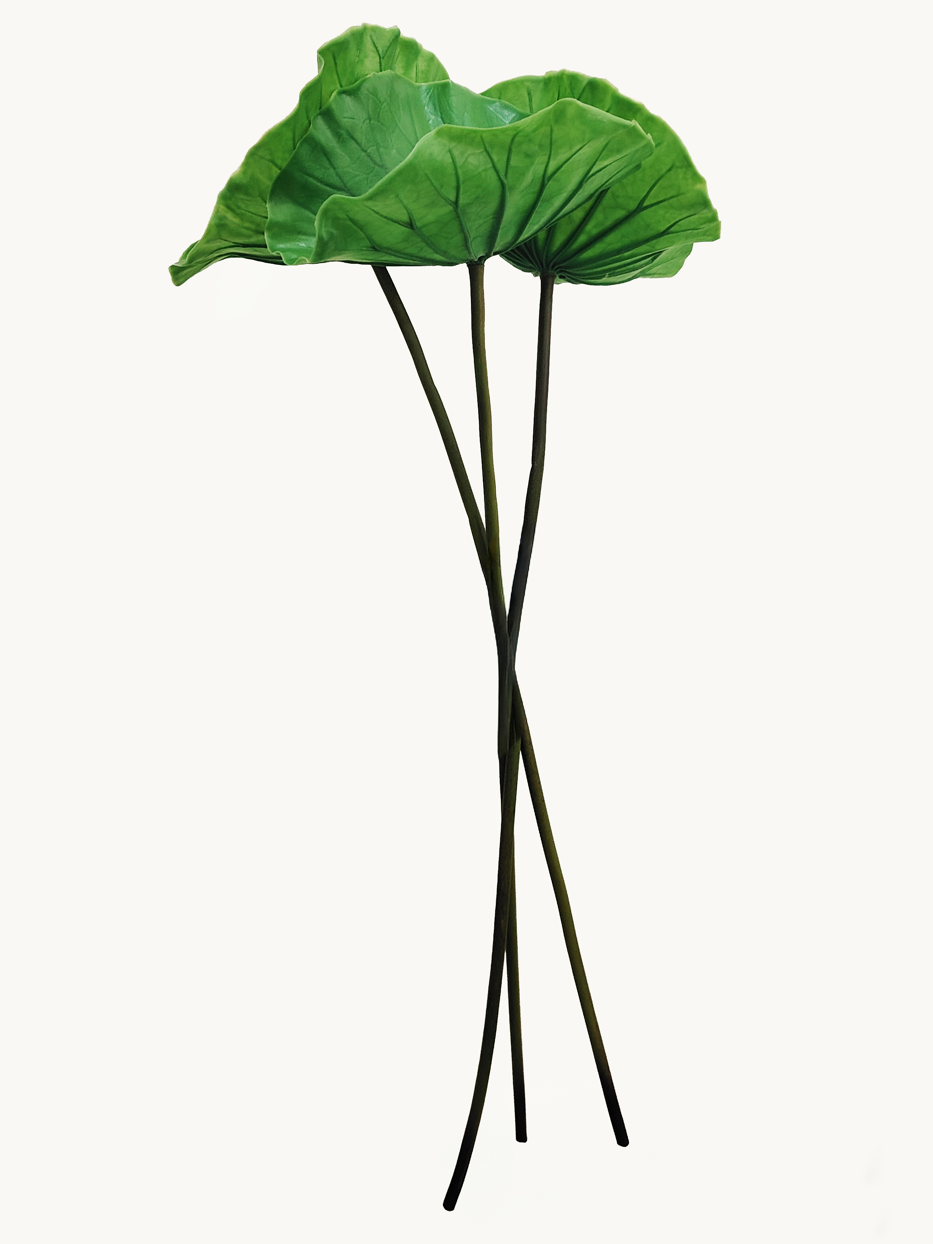 Amaranton 28" Artificial Lotus Leaf