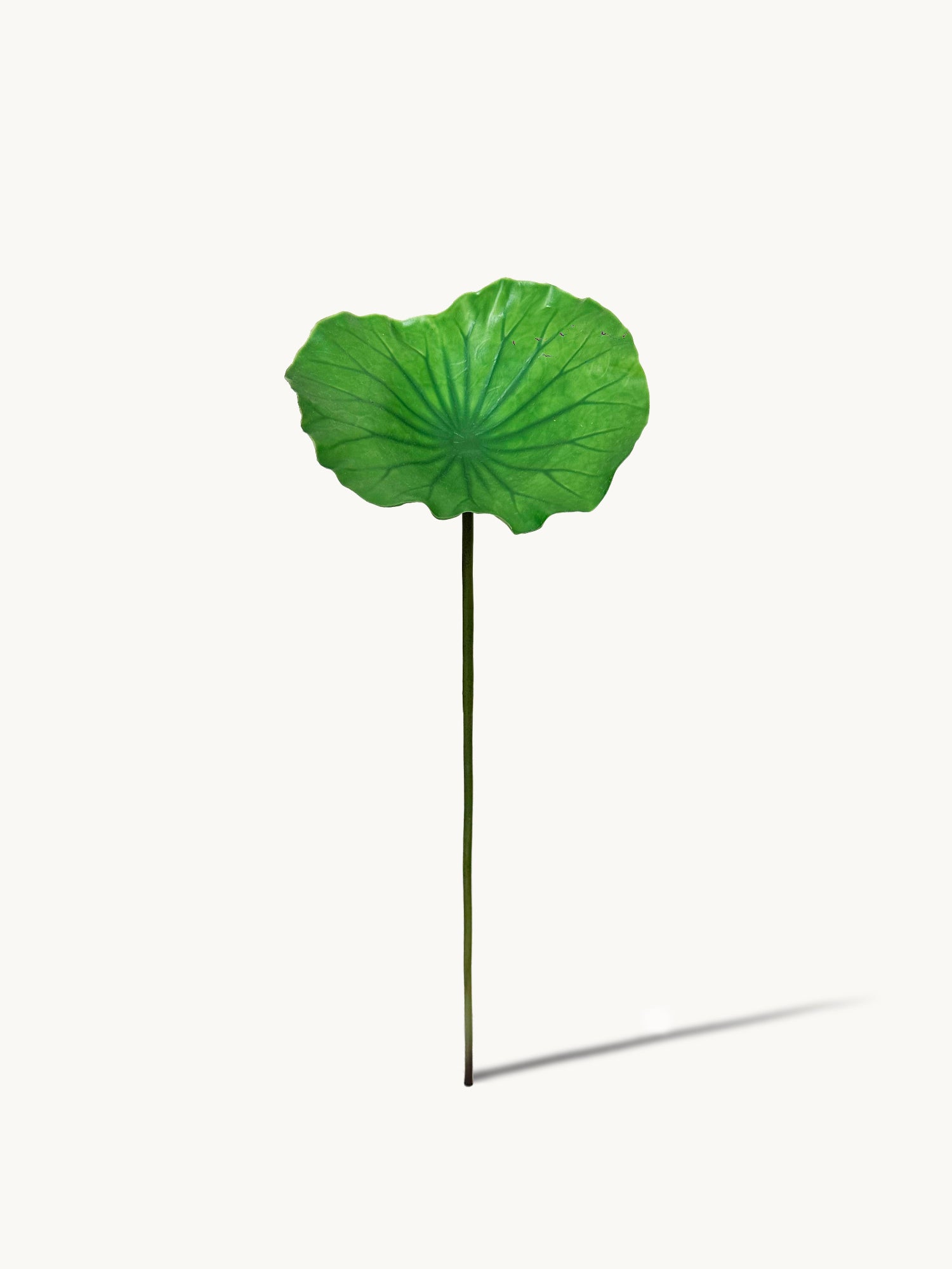 Hoja de loto artificial Amaranton de 28"