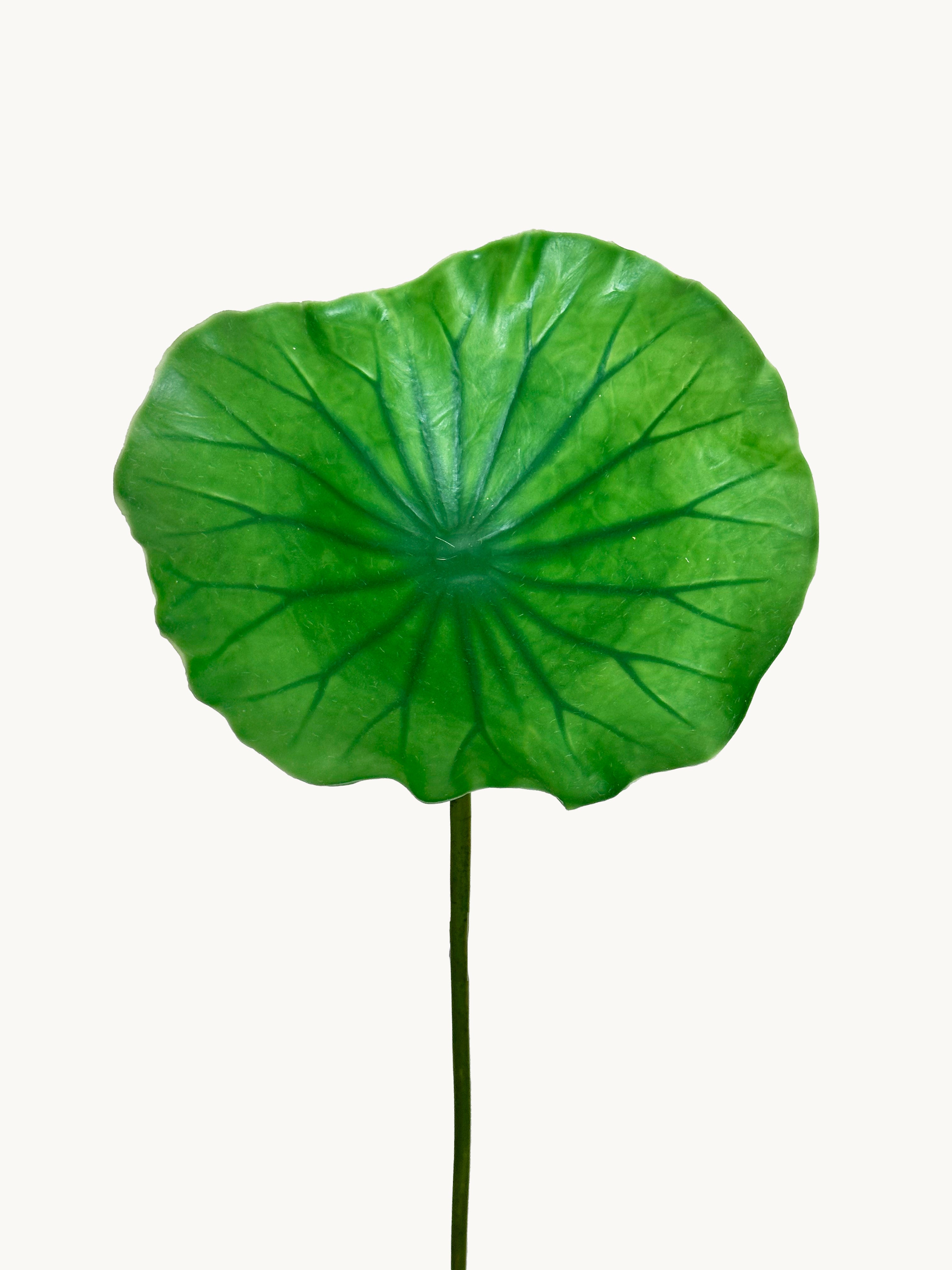 Amaranton 28" Artificial Lotus Leaf