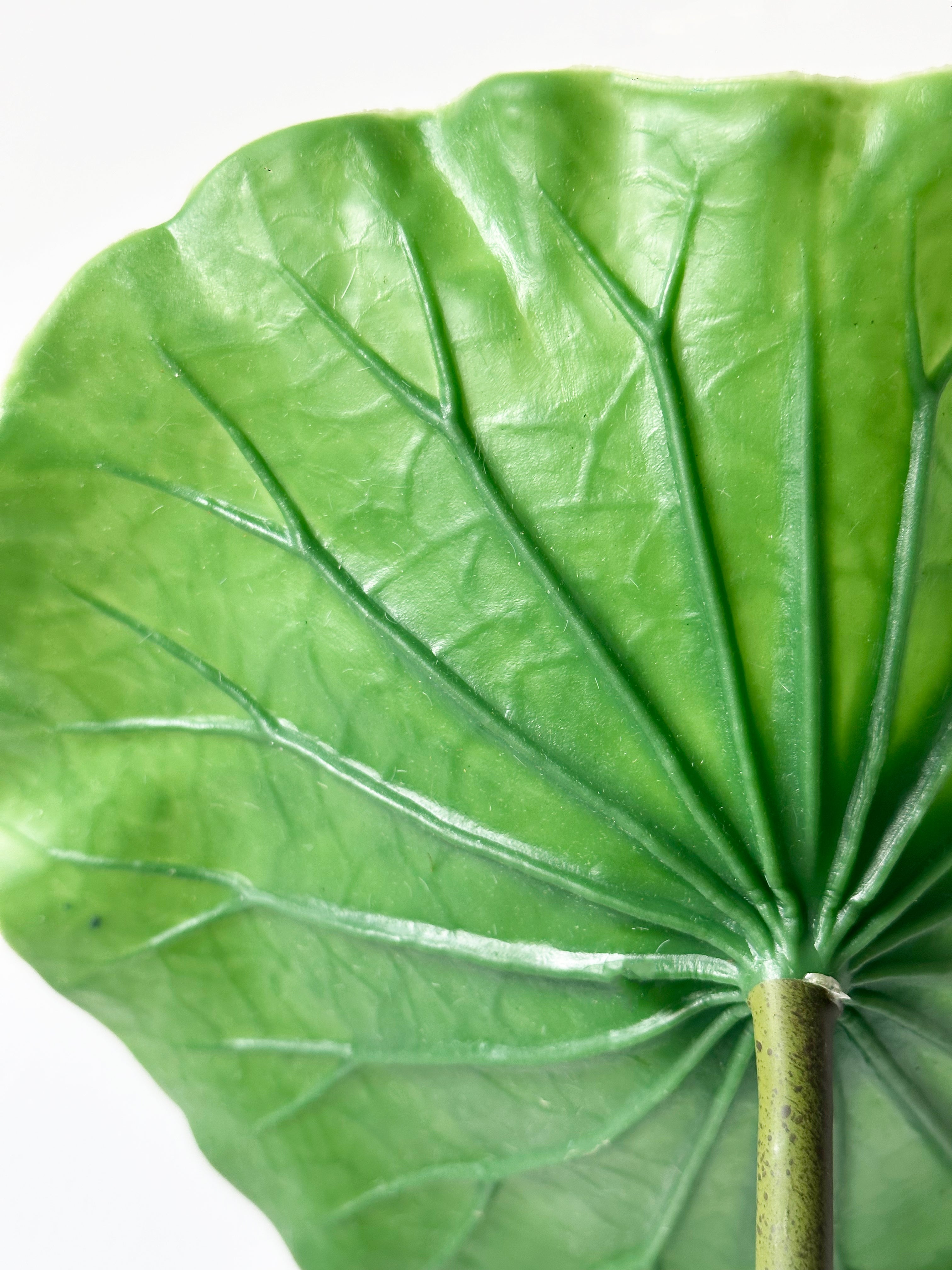 Amaranton 28" Artificial Lotus Leaf