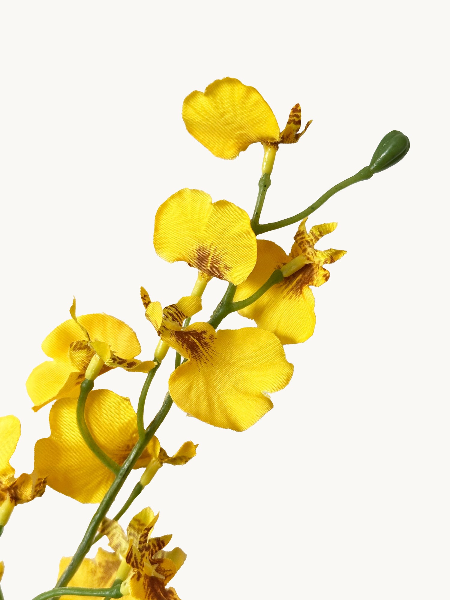 Amaranton™ 32" Realistica™ Dancing Orchid - Yellow
