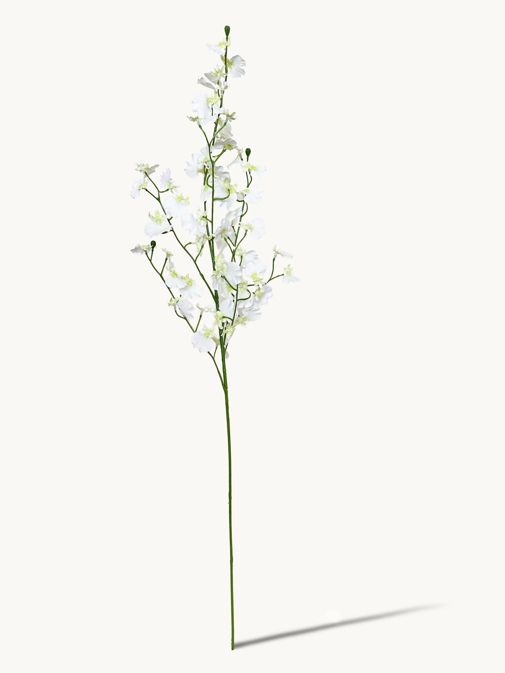 Fleeting Years 7 - fork Princess Dancing Orchid (White)