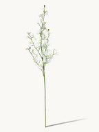 Fleeting Years 7 - fork Princess Dancing Orchid (White)