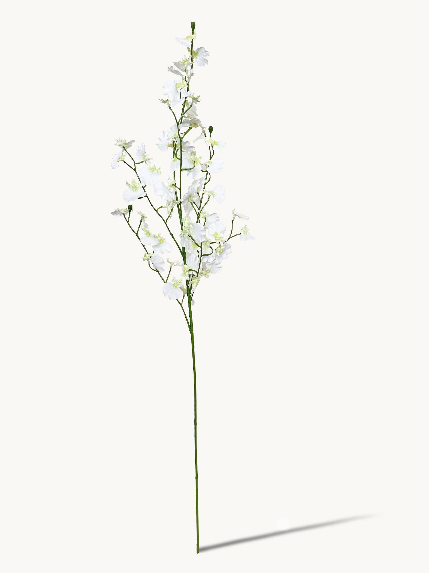 Amaranton™ 32" Realistica™ Dancing Orchid - White