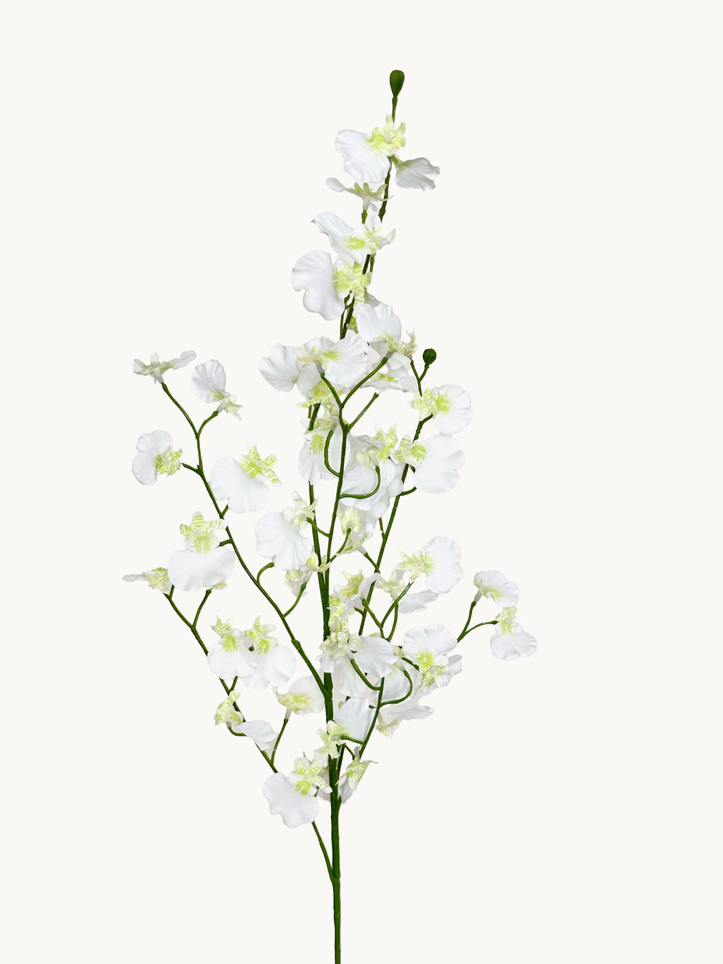 Fleeting Years 7 - fork Princess Dancing Orchid (White)