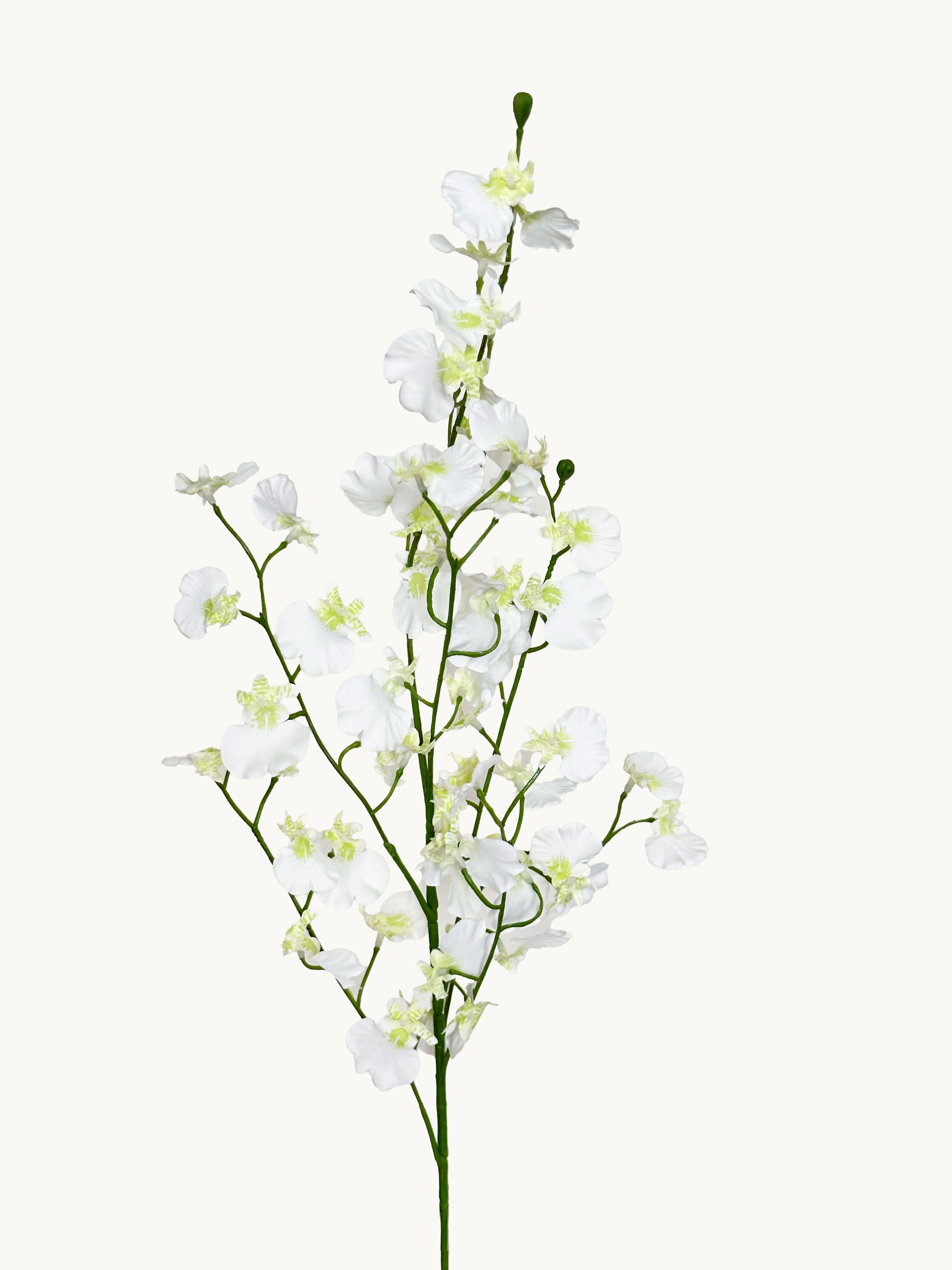 Fleeting Years 7 - fork Princess Dancing Orchid (White)