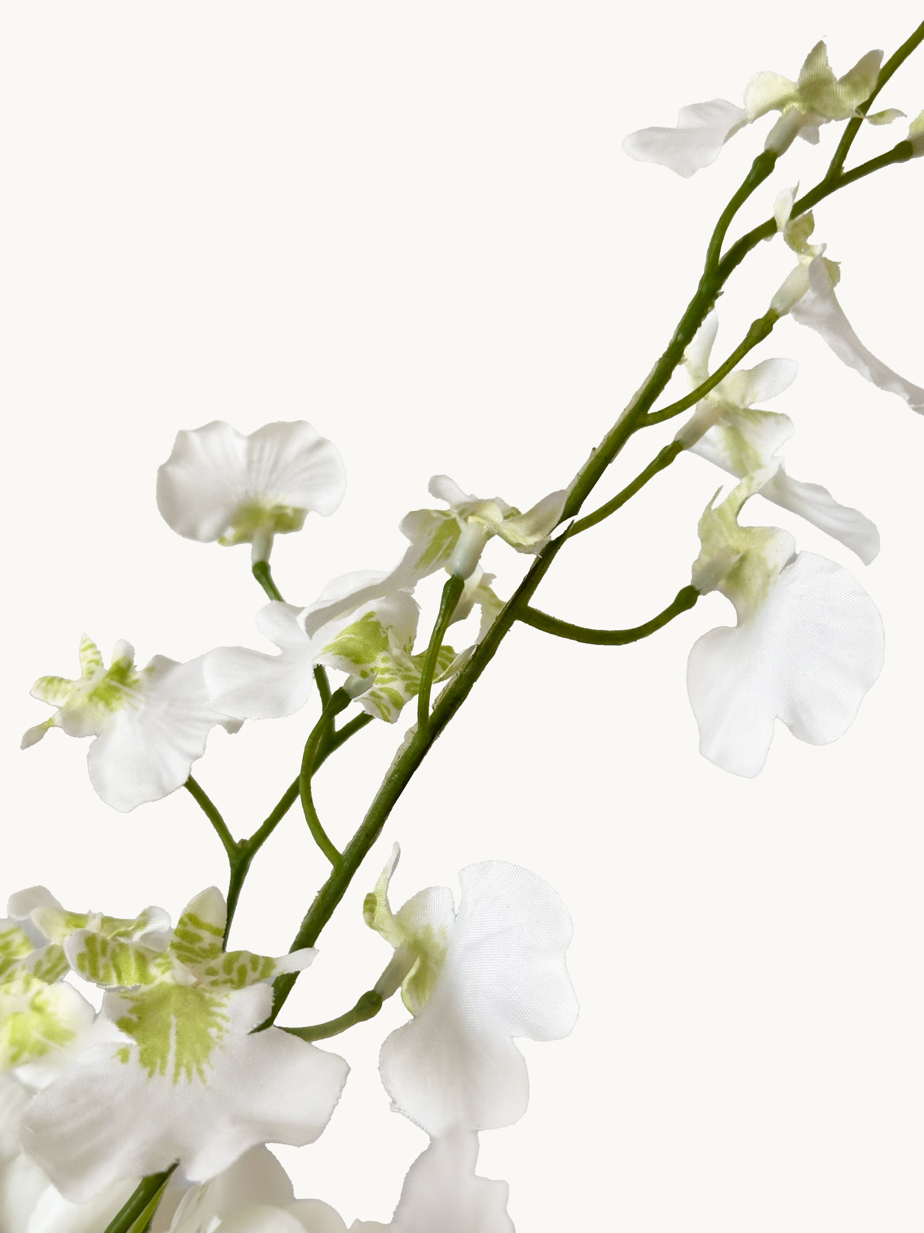 Fleeting Years 7 - fork Princess Dancing Orchid (White)