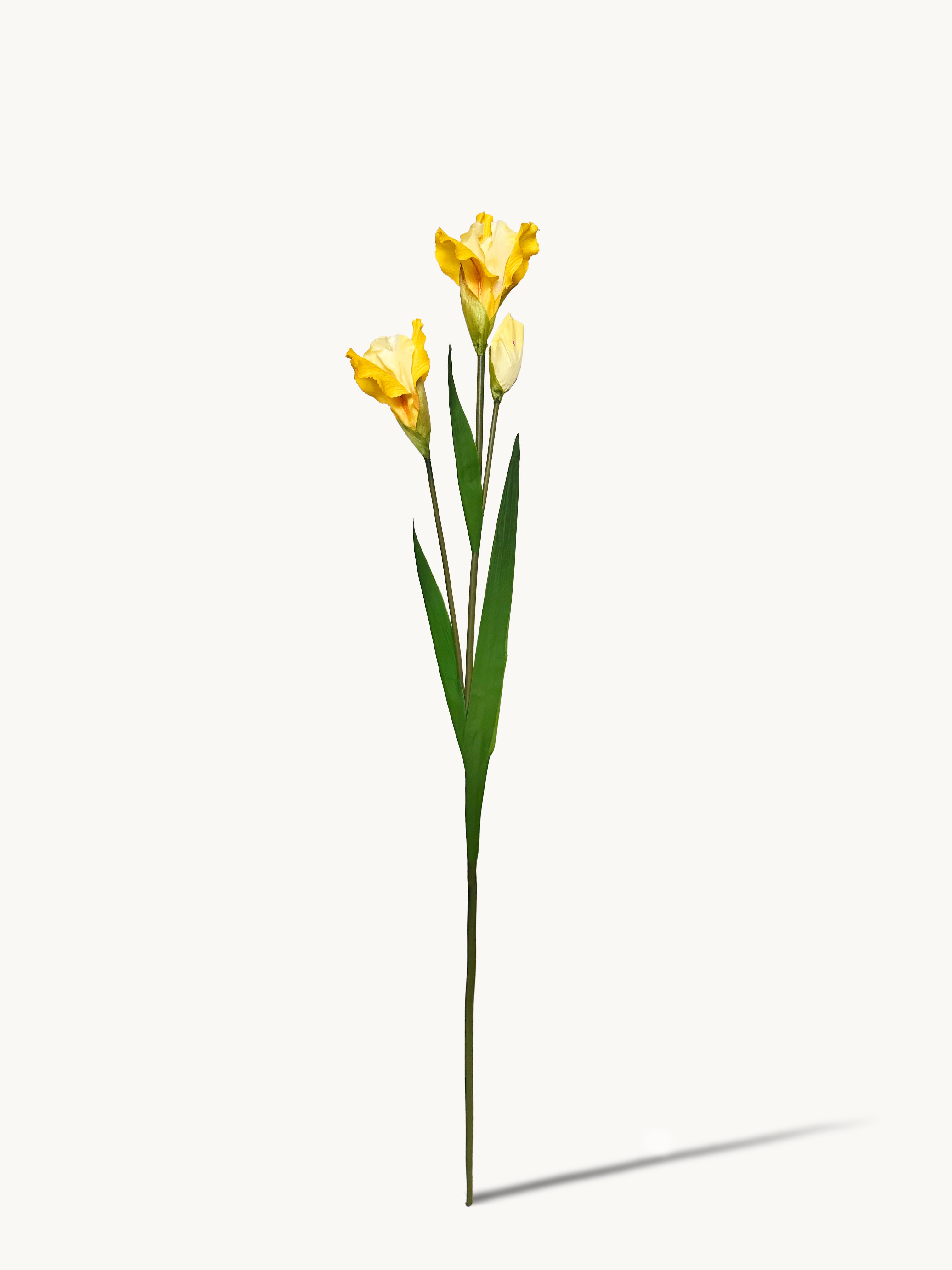 Amaranton 32" Realistic Iris with 2 Blooms and 1 Bud - Yellow