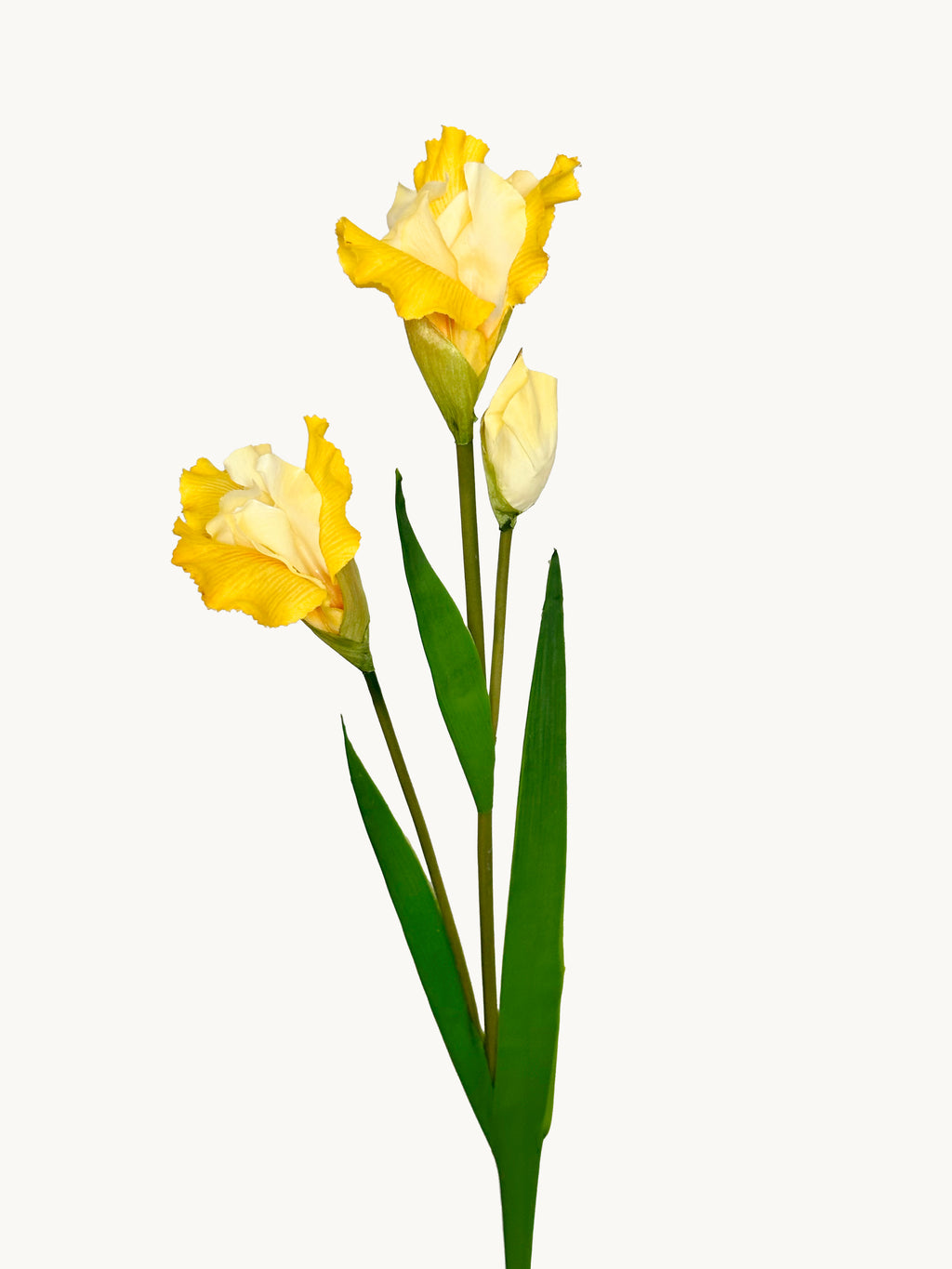 Amaranton 32" Realistic Iris with 2 Blooms and 1 Bud - Yellow