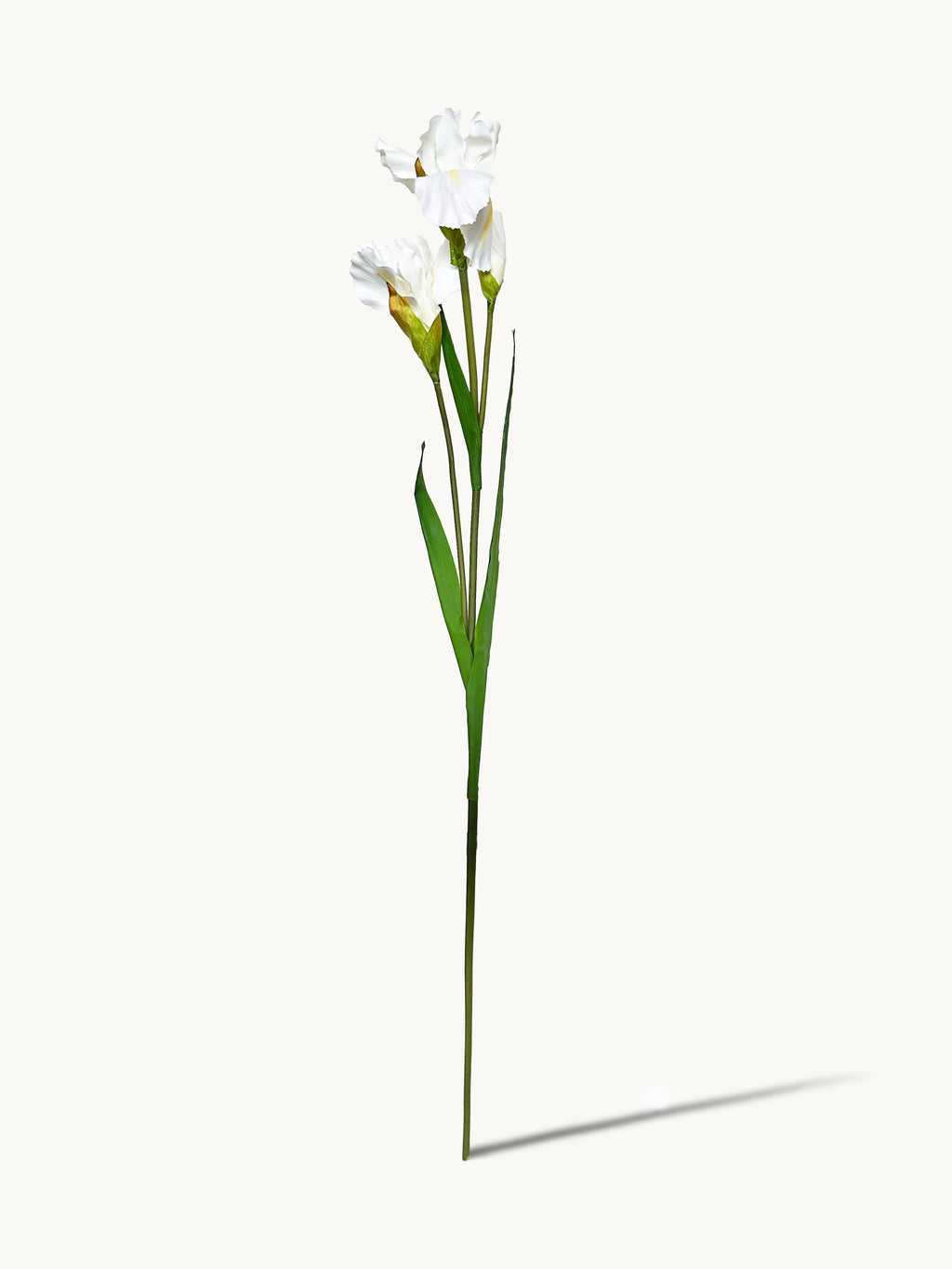 Amaranton 32" Realistic Iris with 2 Blooms and 1 Bud - White