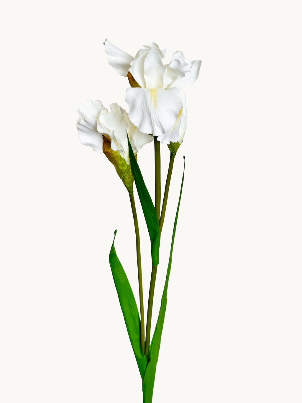 Amaranton 32" Realistic Iris with 2 Blooms and 1 Bud - White