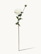 32" Realistic Dahlia with 1 Bloom and 1 Bud - White