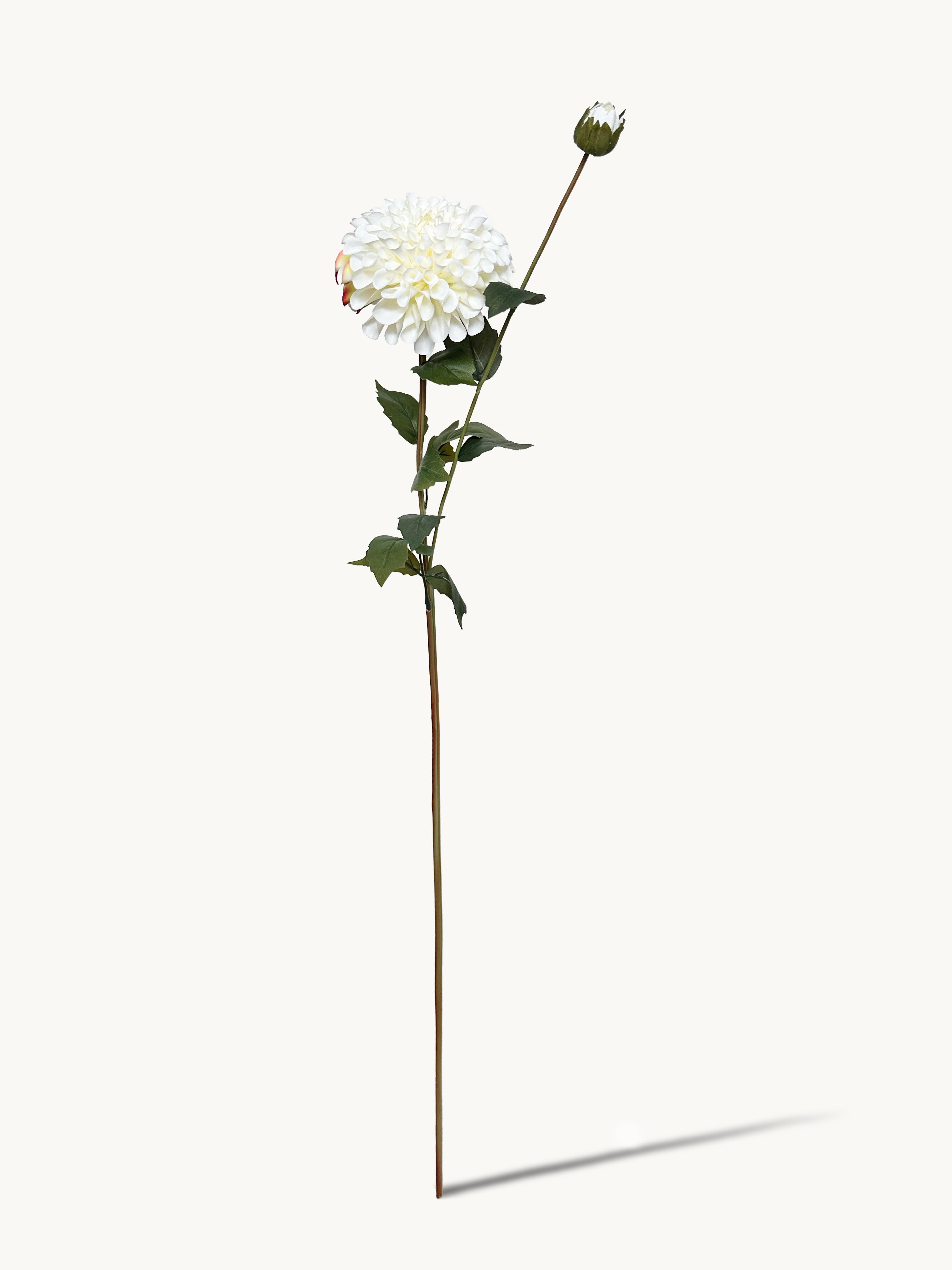 32" Realistic Dahlia with 1 Bloom and 1 Bud - White