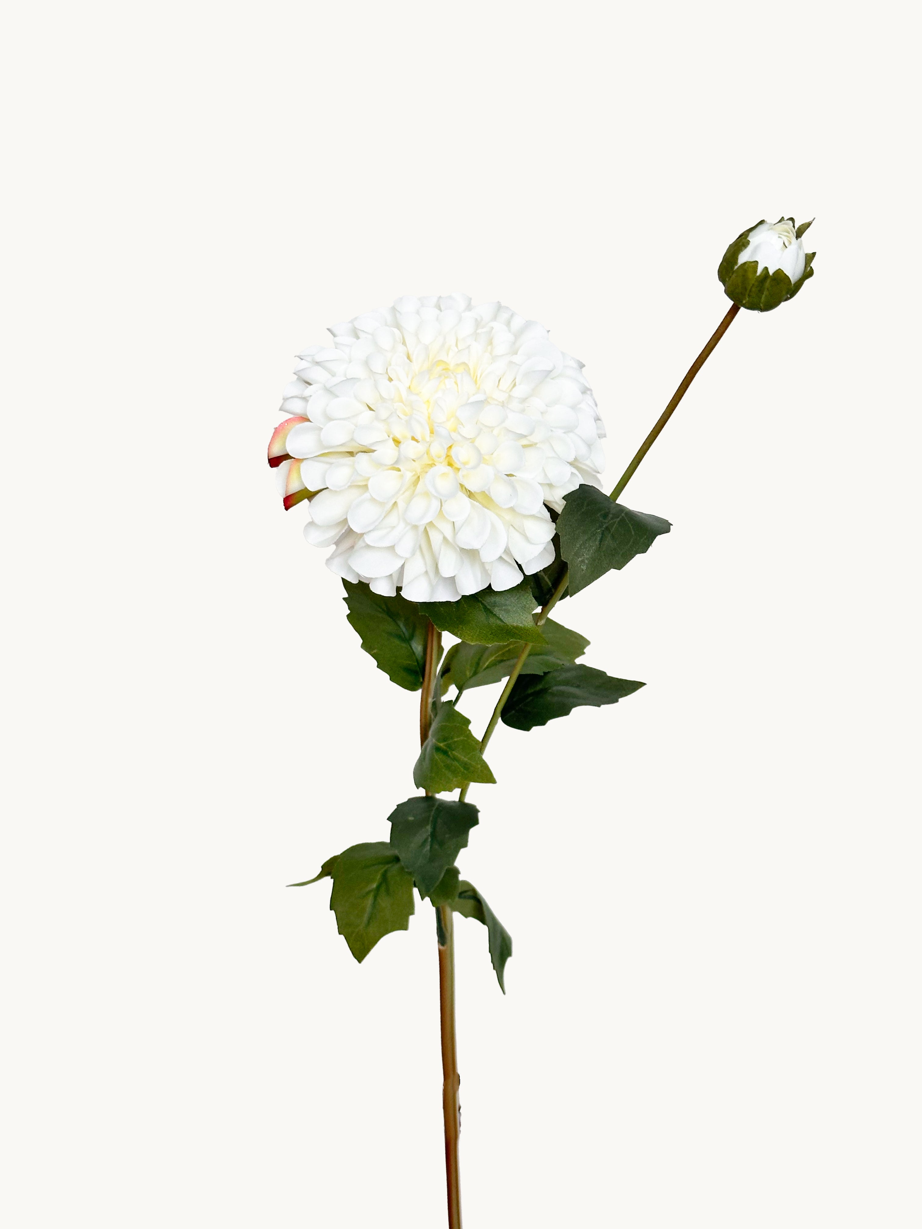 32" Realistic Dahlia with 1 Bloom and 1 Bud - White