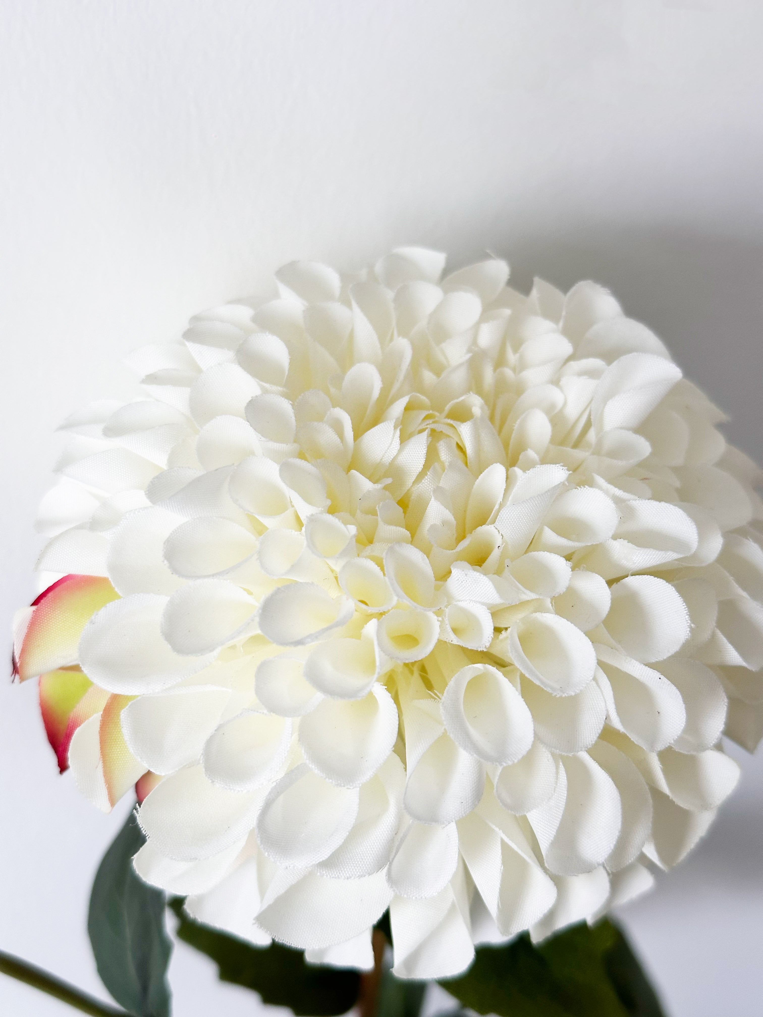 32" Realistic Dahlia with 1 Bloom and 1 Bud - White