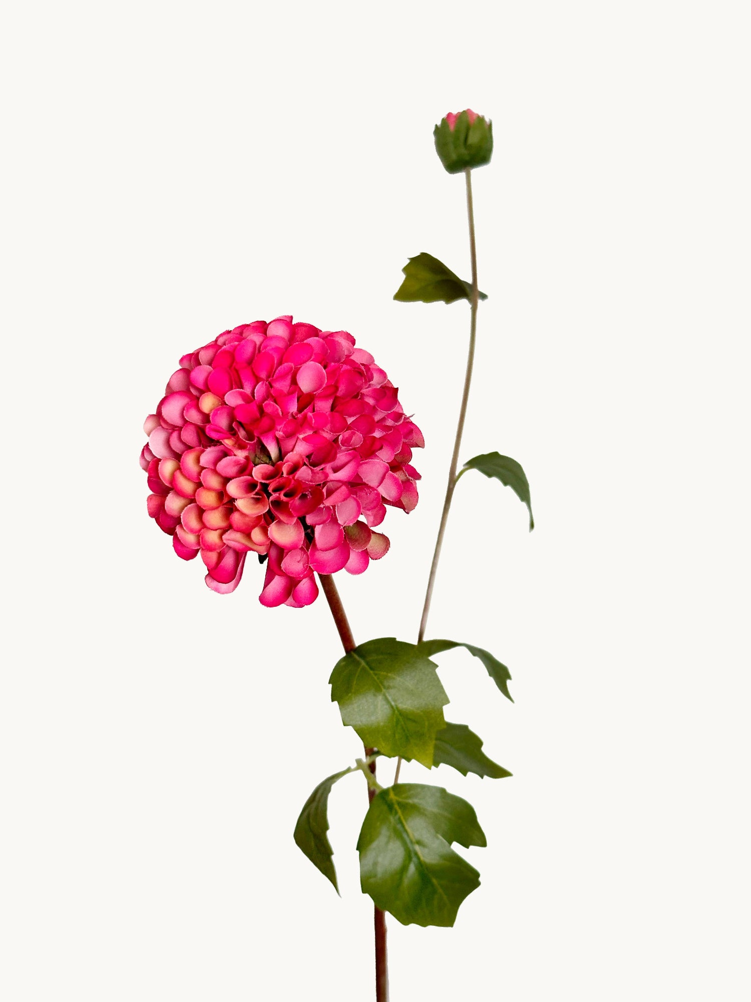 Amaranton™ 32" Artificial Dahlia with 1 Small Bloom and 1 Bud - Deep Pink