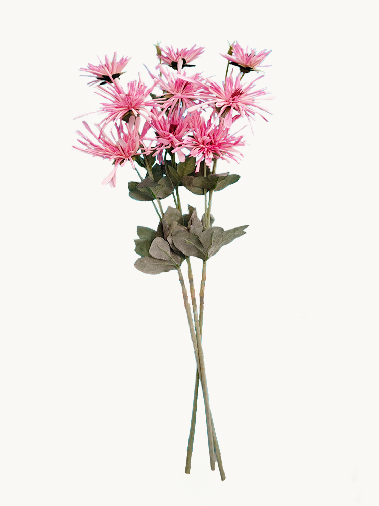 Amaranton 32" Realistic 3 - Bloom Spider Chrysanthemum - Pink