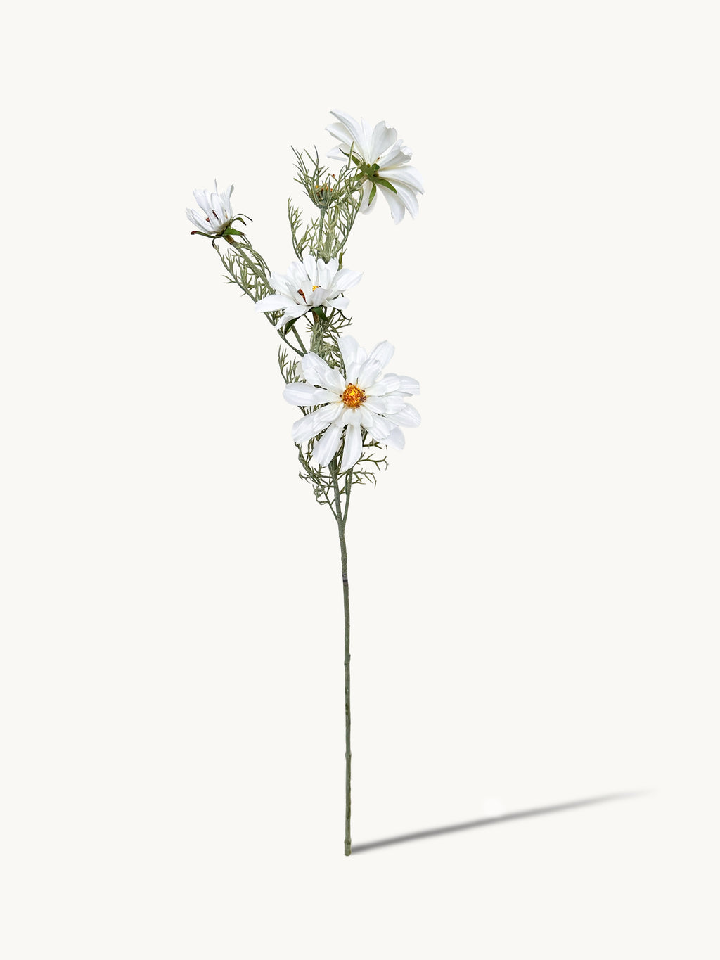 Amaranton 27" Realistic 4 - Bloom Cosmos - White
