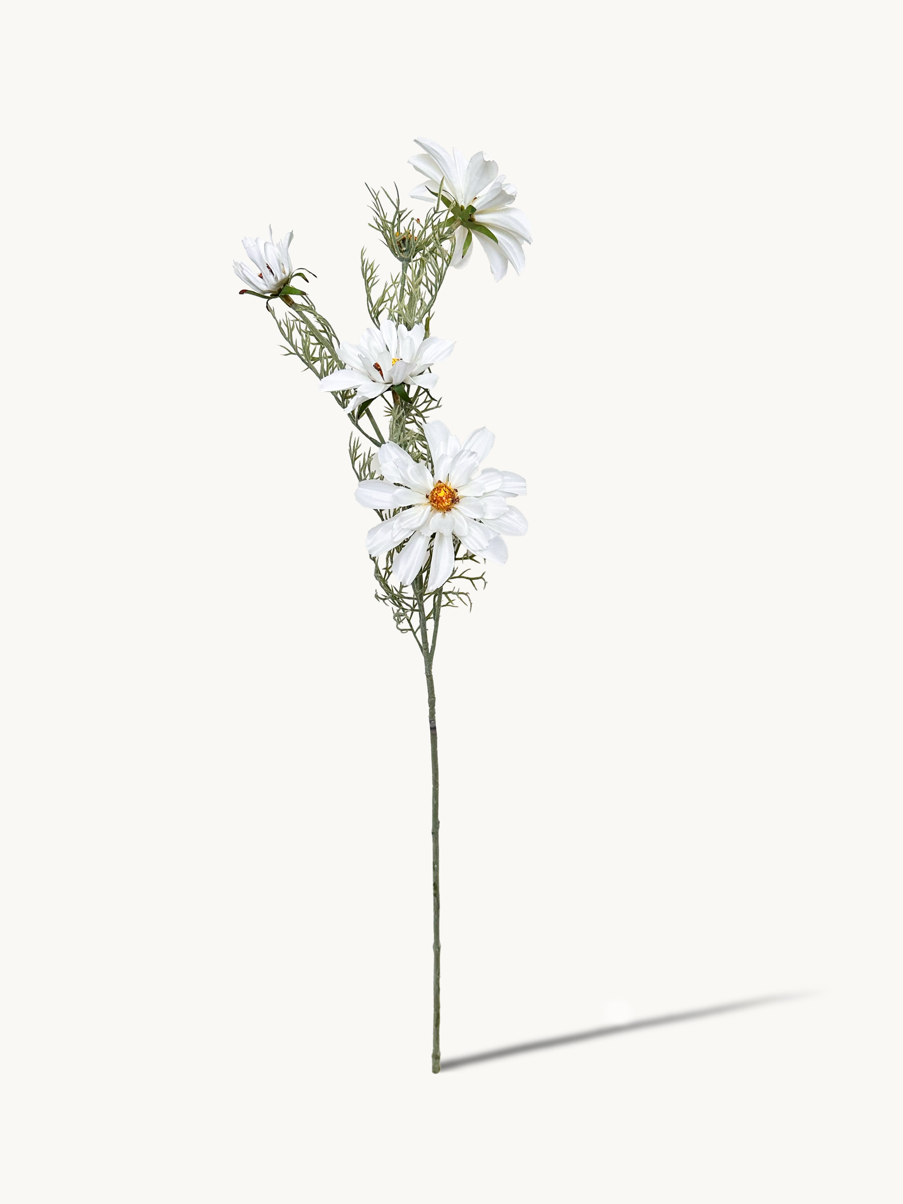 Amaranton 27" Realistic 4 - Bloom Cosmos - White