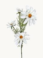 Amaranton 27" Realistic 4 - Bloom Cosmos - White