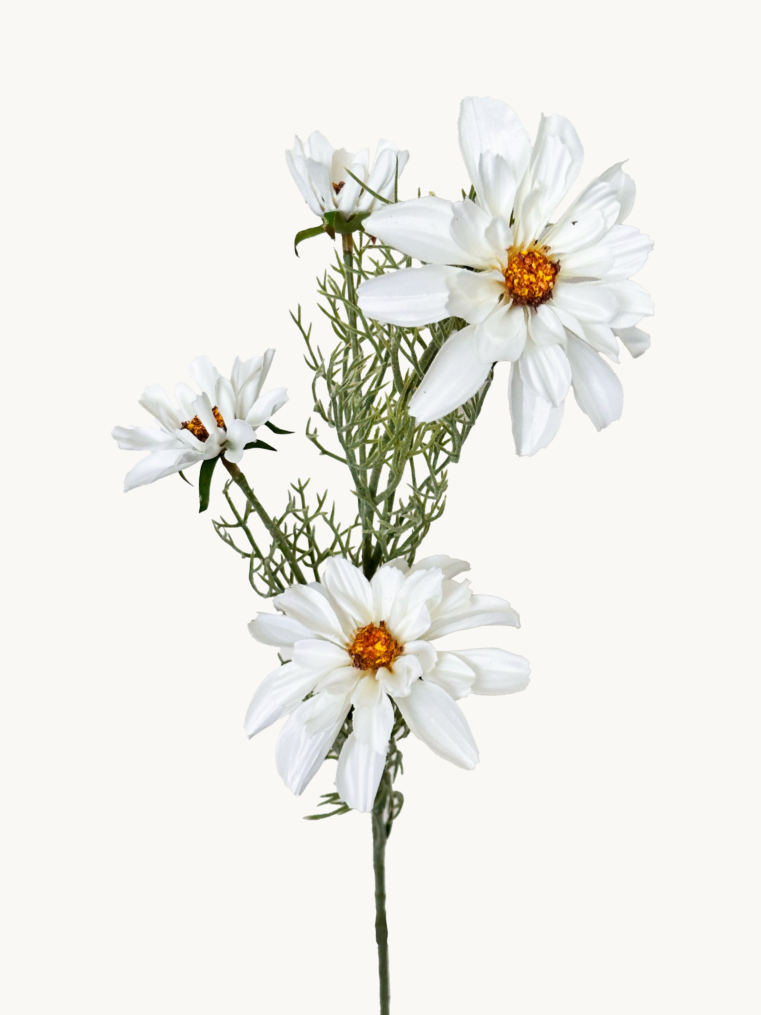 Amaranton 27" Realistic 4 - Bloom Cosmos - White