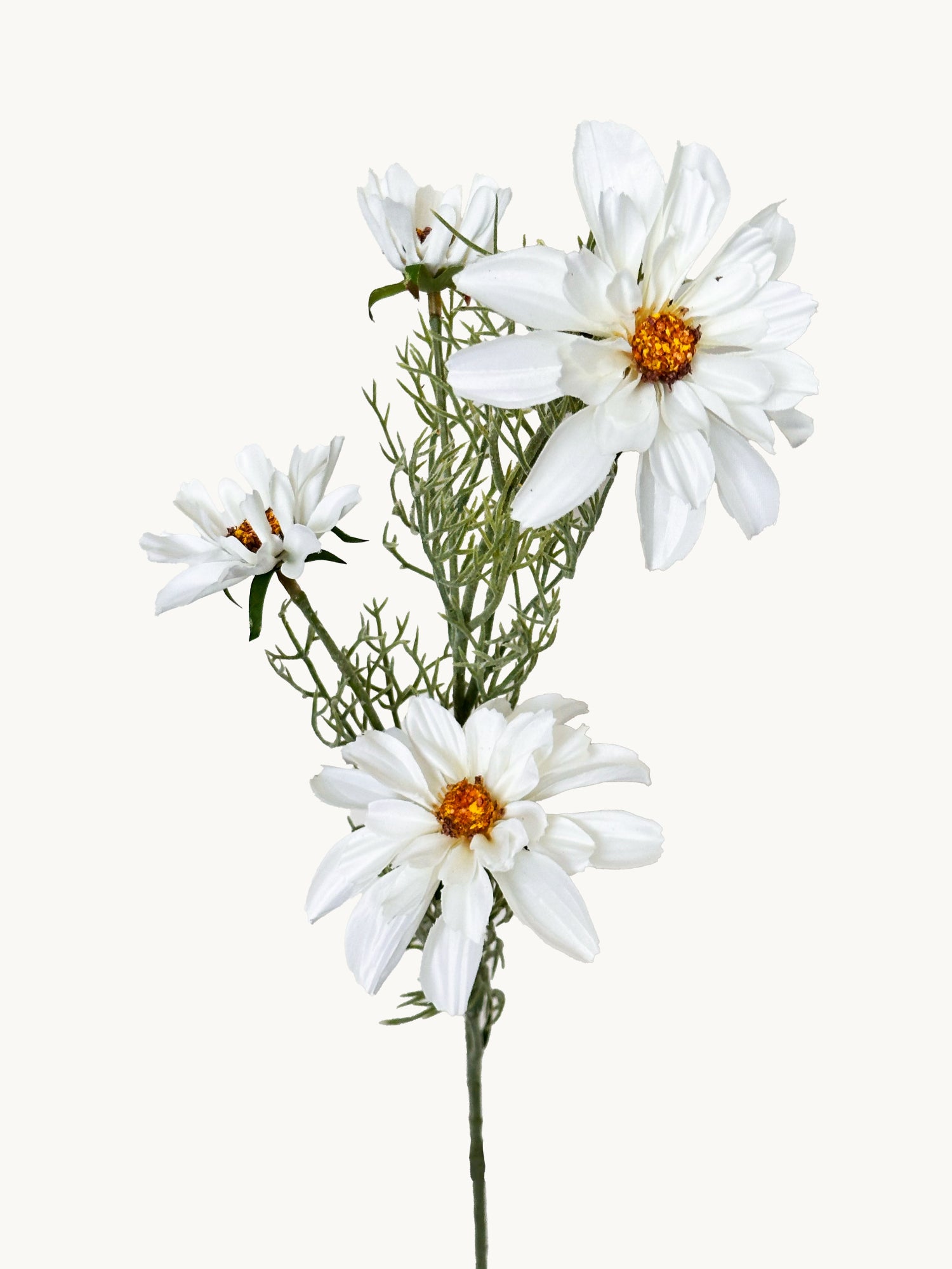 Amaranton 27" Realistic 4 - Bloom Cosmos - Blanco
