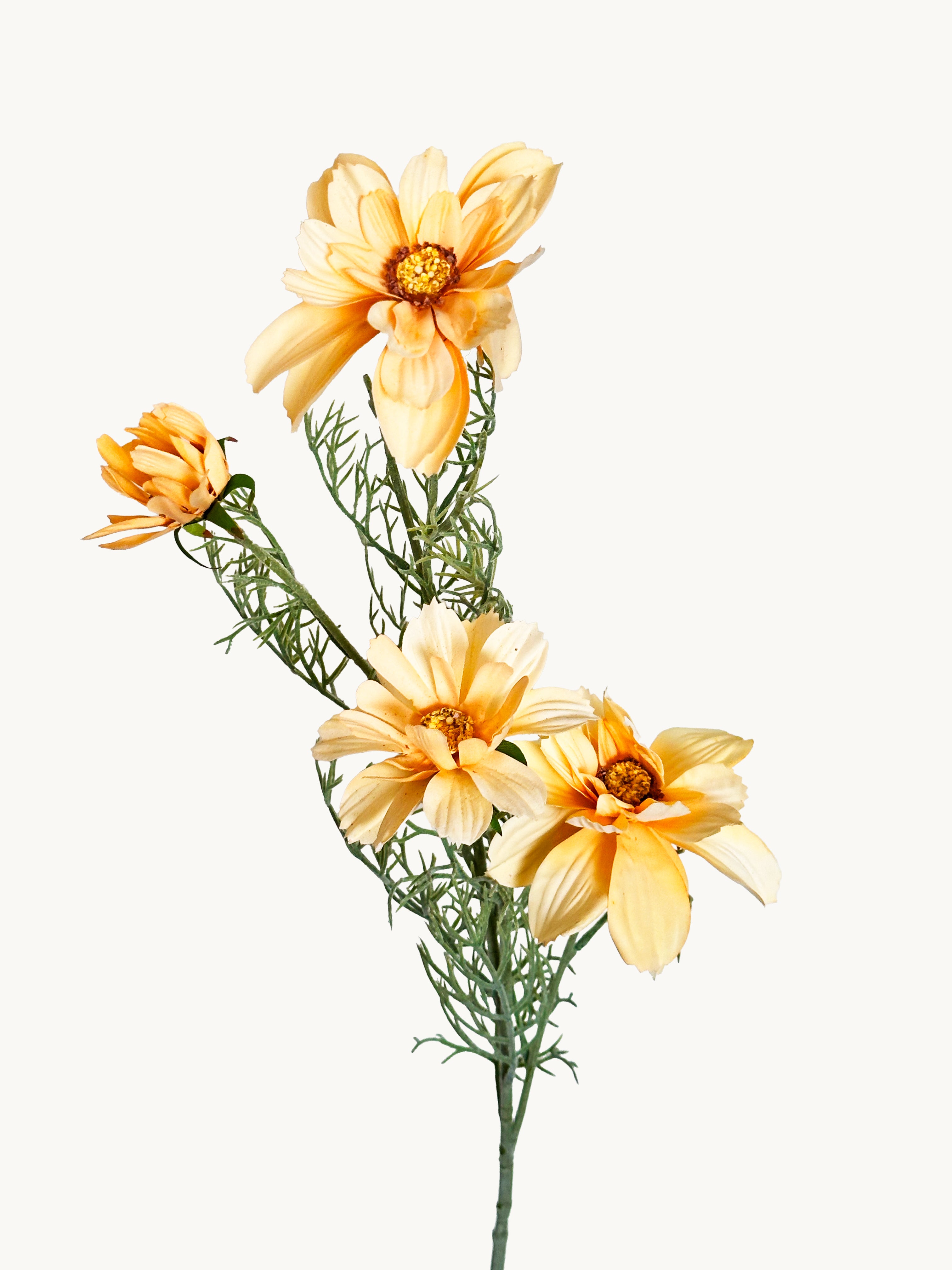 Amaranton 27" Realistic 4 - Bloom Cosmos - Yellow