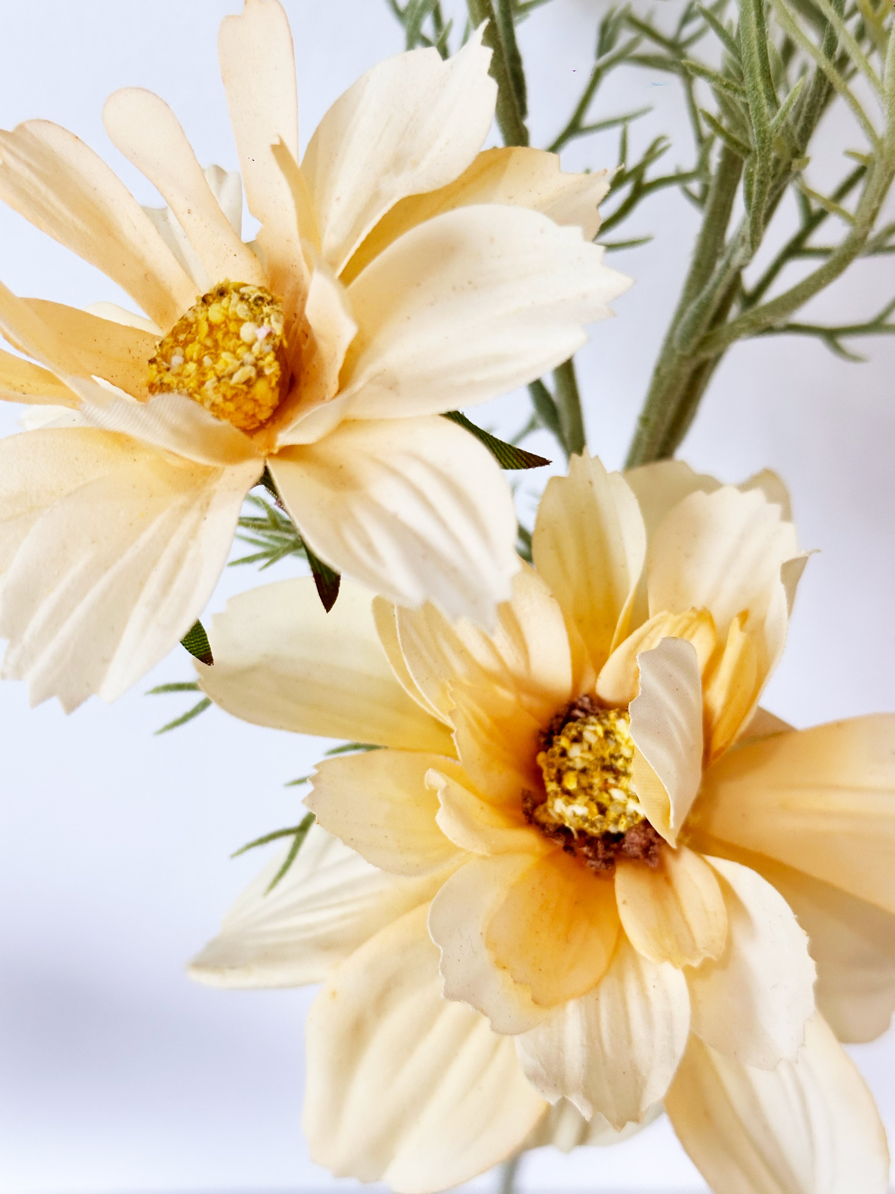 Amaranton 27" Realistic 4 - Bloom Cosmos - Yellow