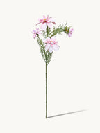 Amaranton 27" Realistic 4 - Bloom Cosmos - Pink