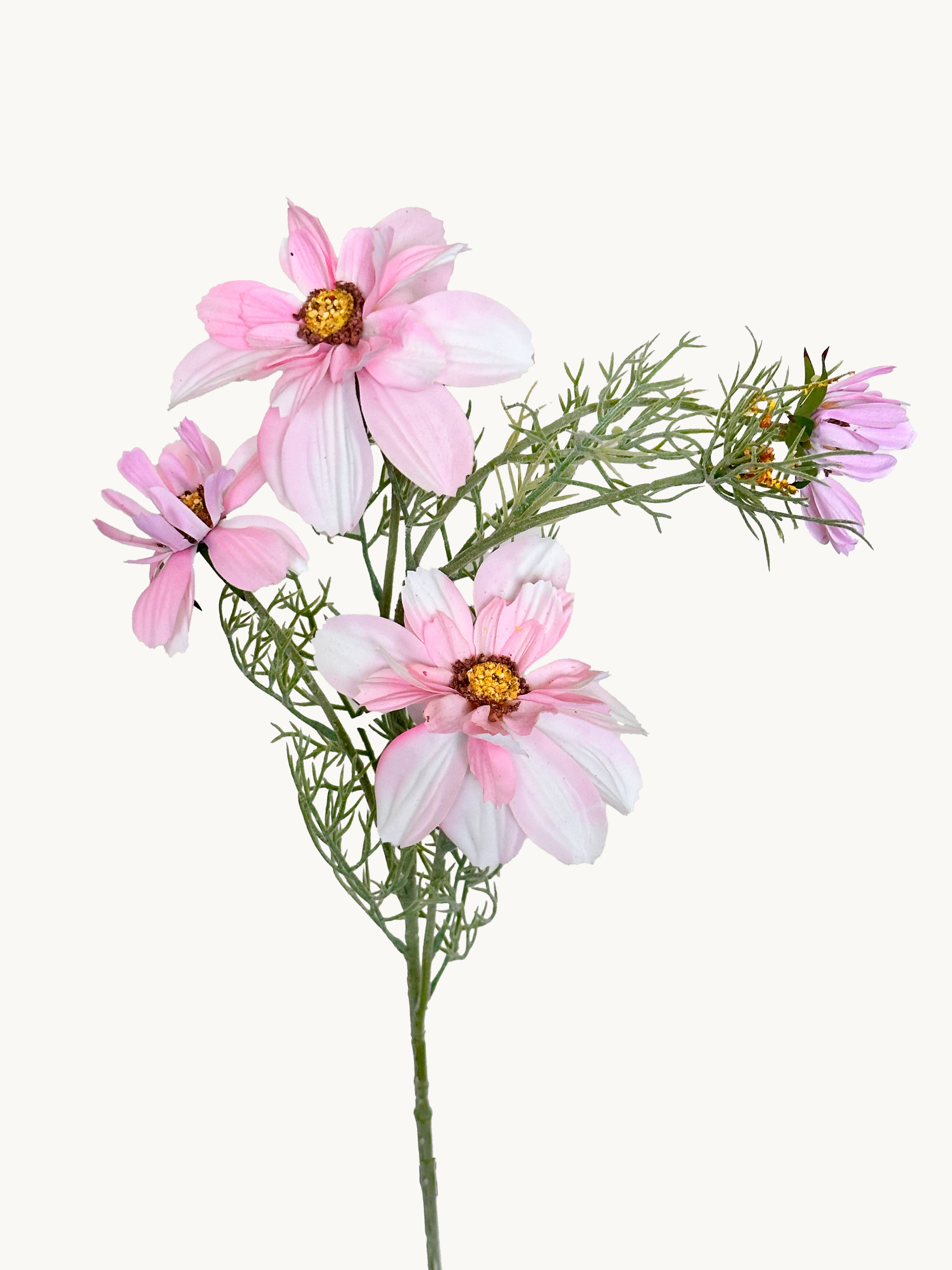 Amaranton 27" Realistic 4 - Bloom Cosmos - Pink