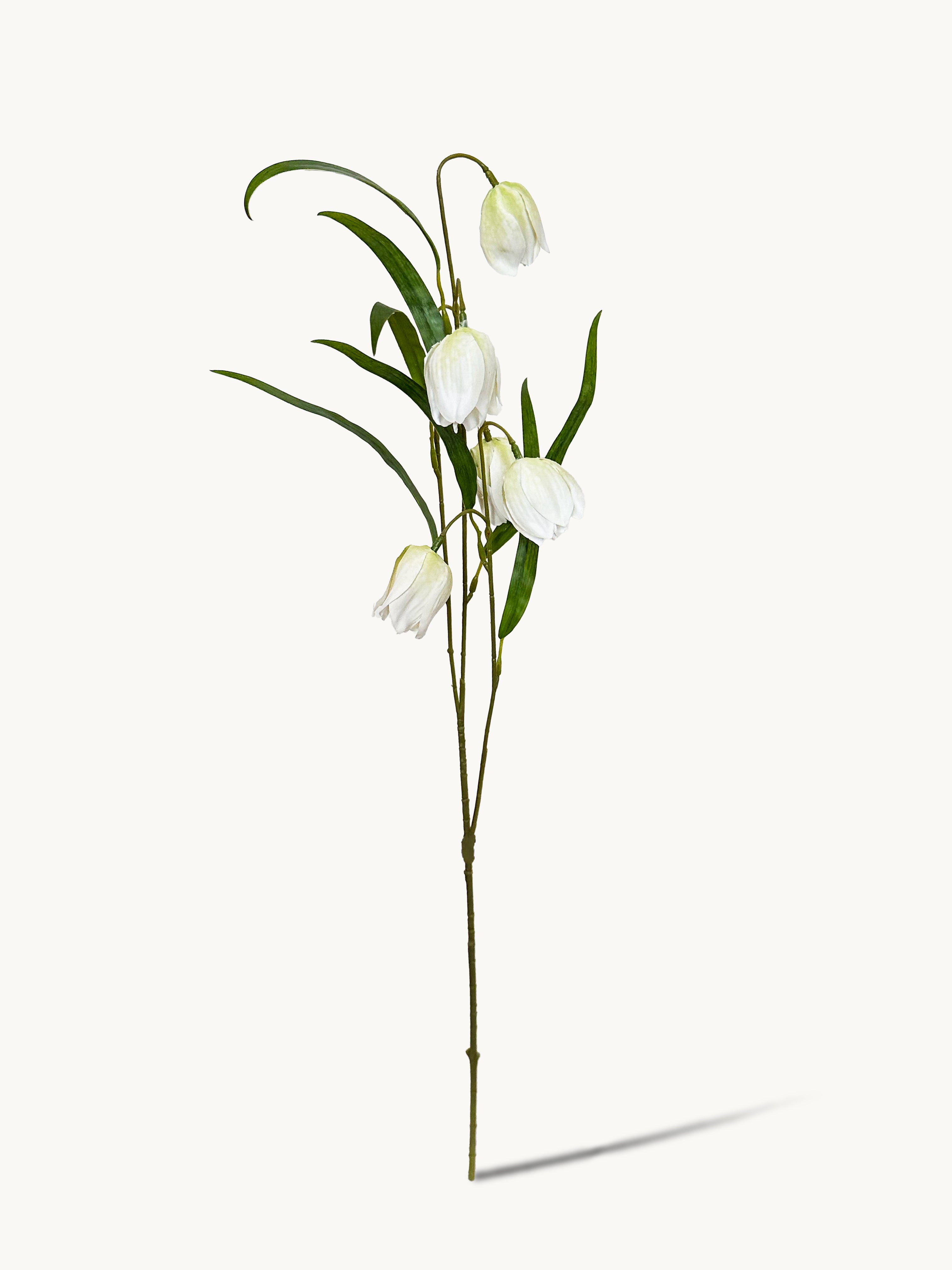 Elegant White Fritillaria Stem - White