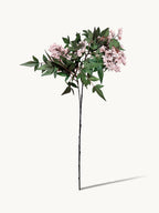 Amaranton 35" Realistic 2 - Growth Sweet Viburnum - Pink