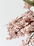 Amaranton 35" Realistic 2 - Growth Sweet Viburnum - Pink