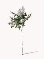Amaranton 35" Realistic 2 - Growth Sweet Viburnum - White