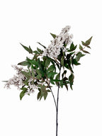Amaranton 35" Realistic 2 - Growth Sweet Viburnum - White