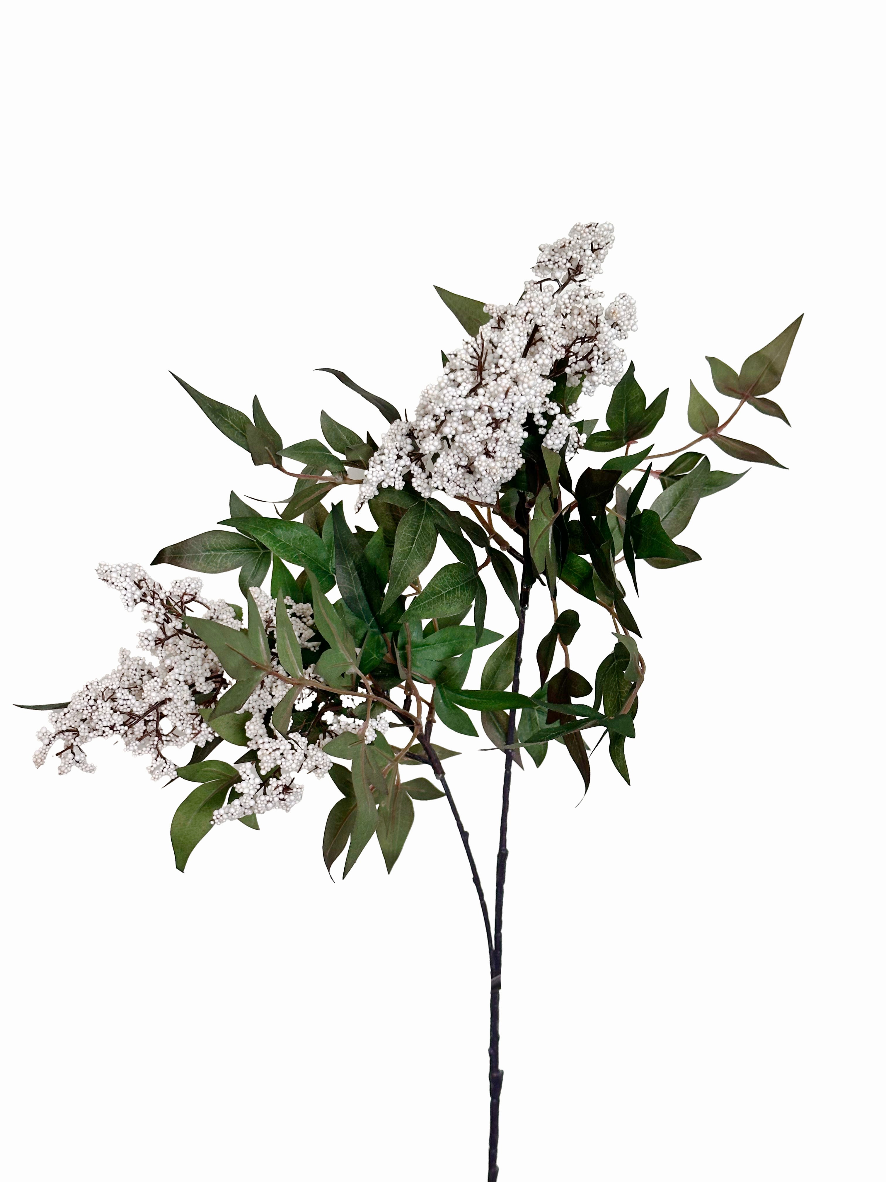 Amaranton 35" Realistic 2 - Growth Sweet Viburnum - White
