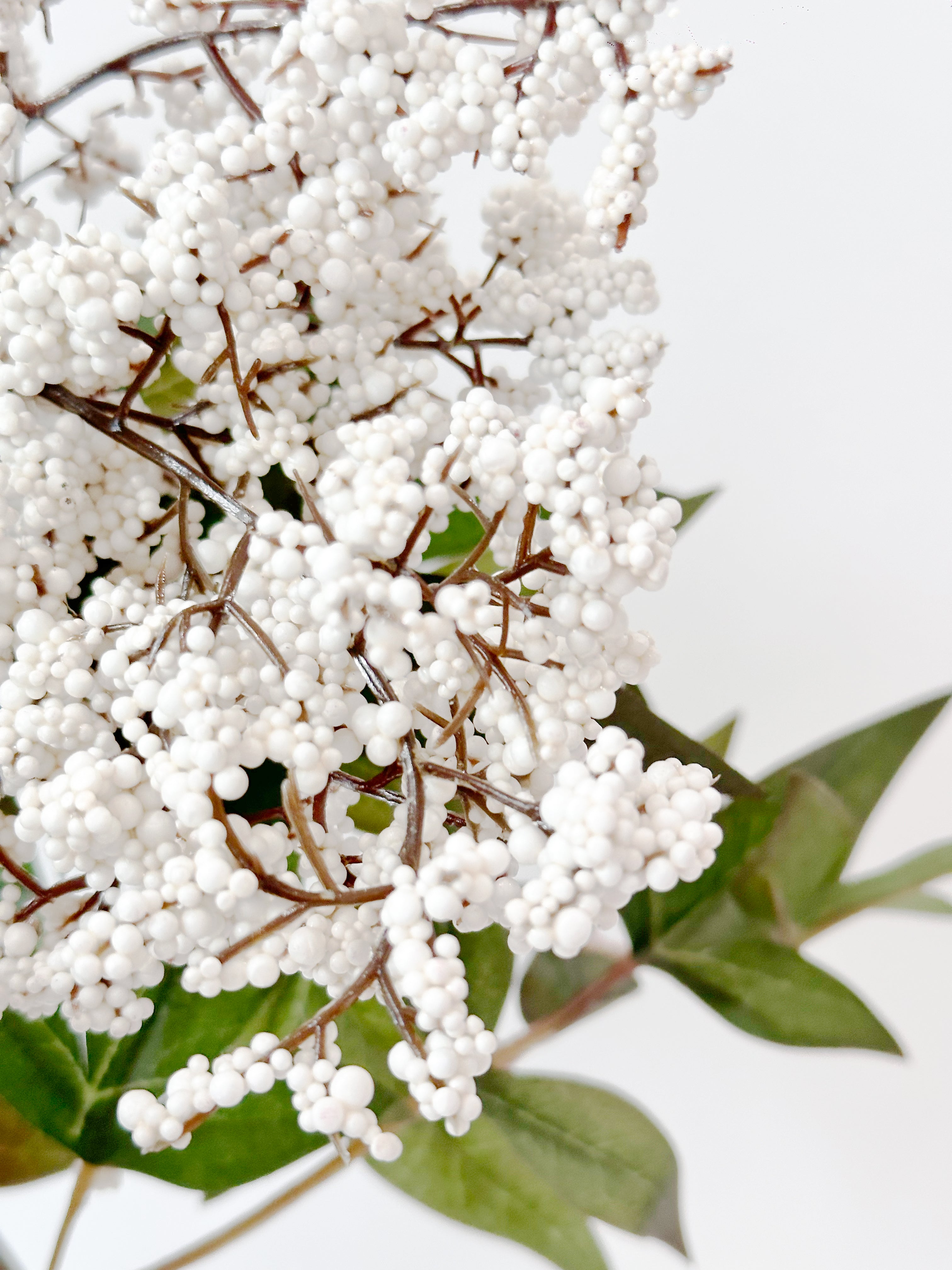 Amaranton 35" Realistic 2 - Growth Sweet Viburnum - White