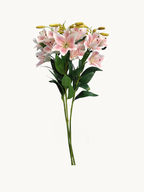 Amaranton 30" Realistic 5 - Bloom Lily - Peach