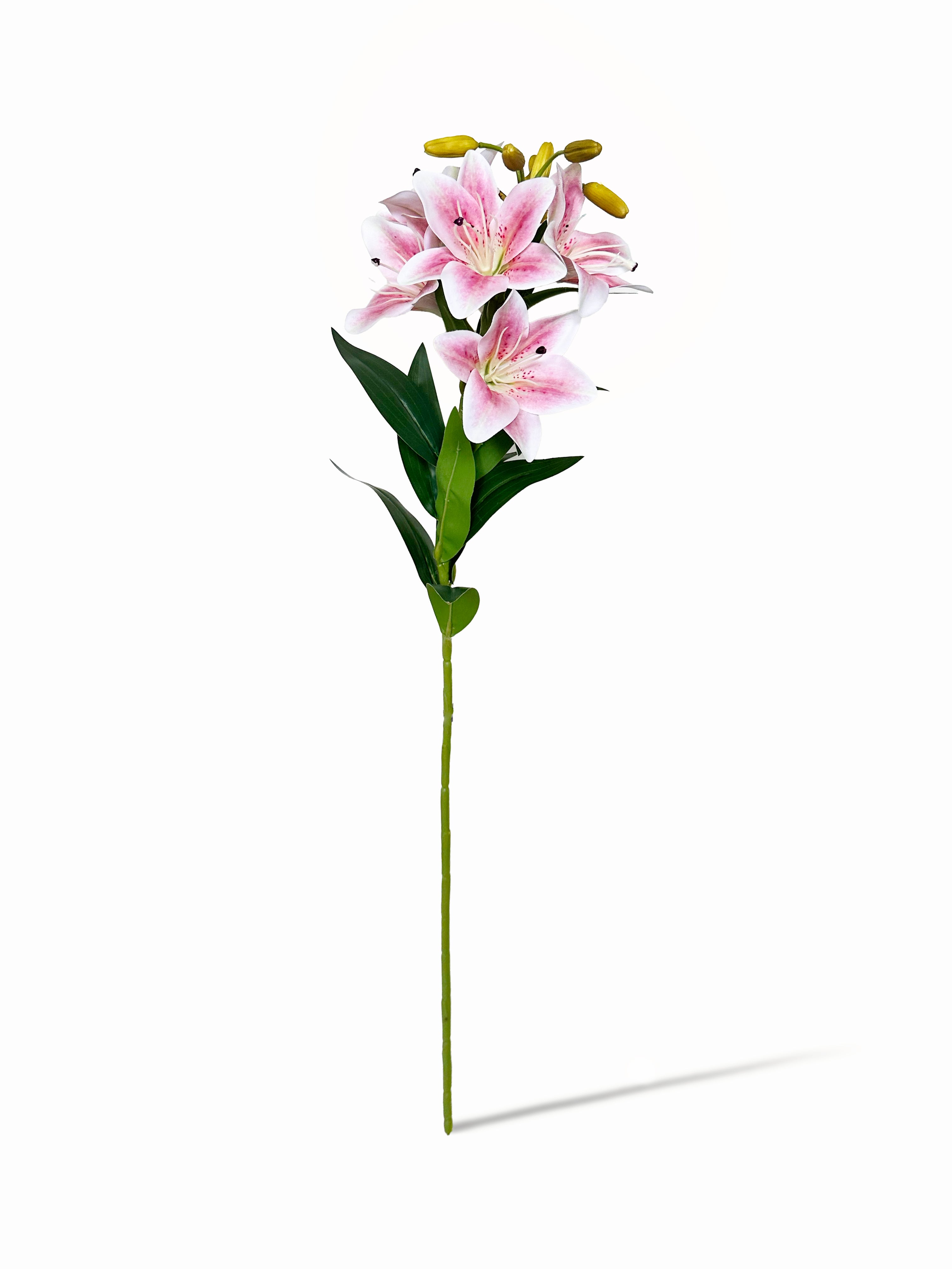 Amaranton 30" Realistic 5 - Bloom Lily - Peach
