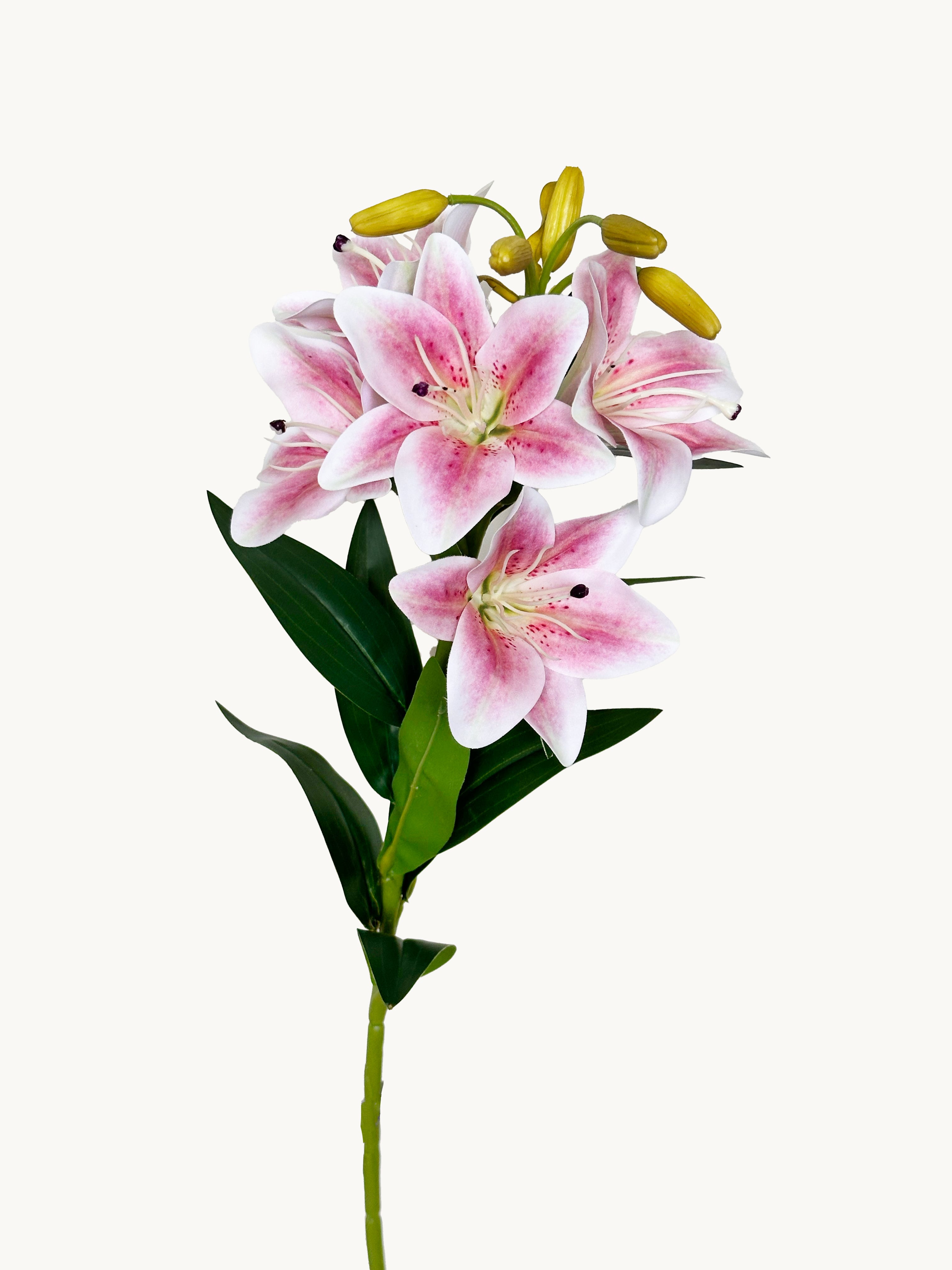 Amaranton 30" Realistic 5 - Bloom Lily - Peach