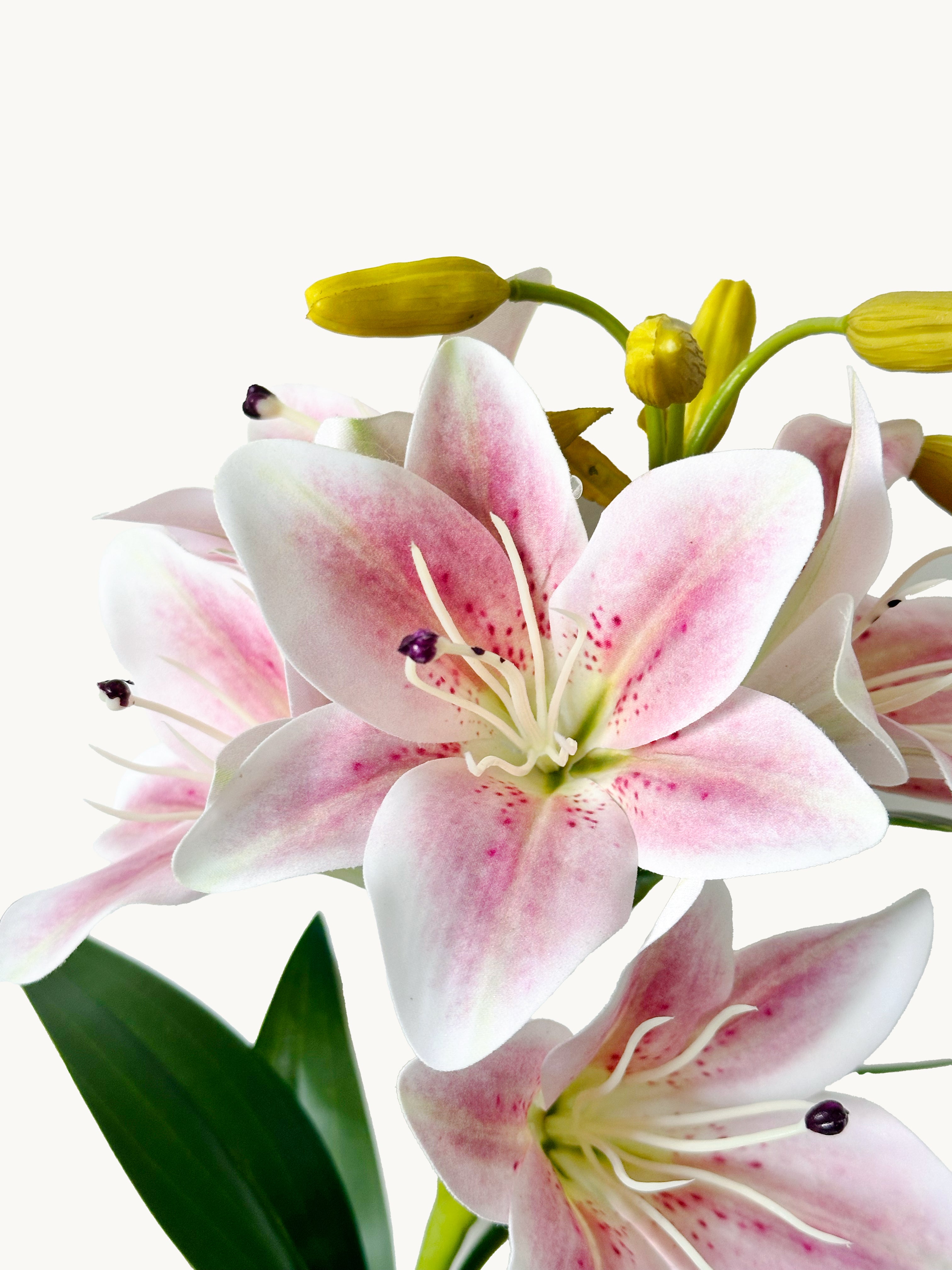 Amaranton 30" Realistic 5 - Bloom Lily - Peach